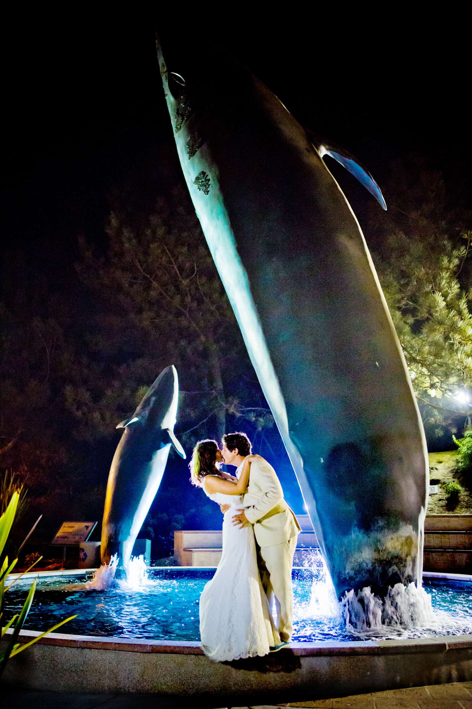 Birch Aquarium at Scripps Wedding coordinated by Amorology Weddings, Erica and Nick Wedding Photo #360007 by True Photography