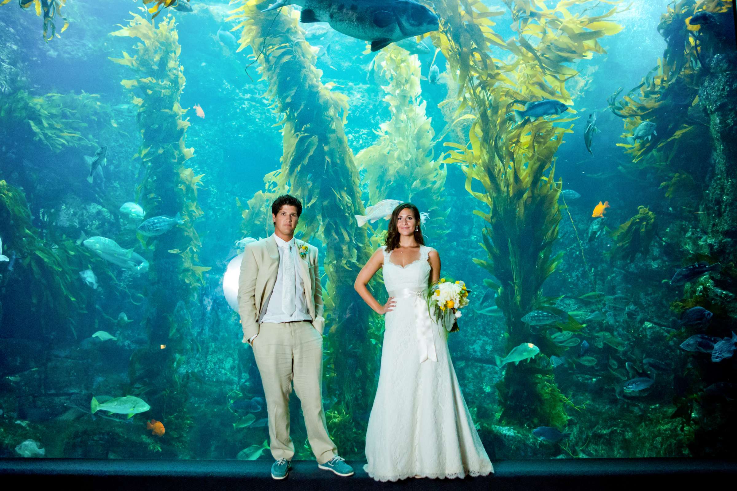 Birch Aquarium at Scripps Wedding coordinated by Amorology Weddings, Erica and Nick Wedding Photo #360063 by True Photography