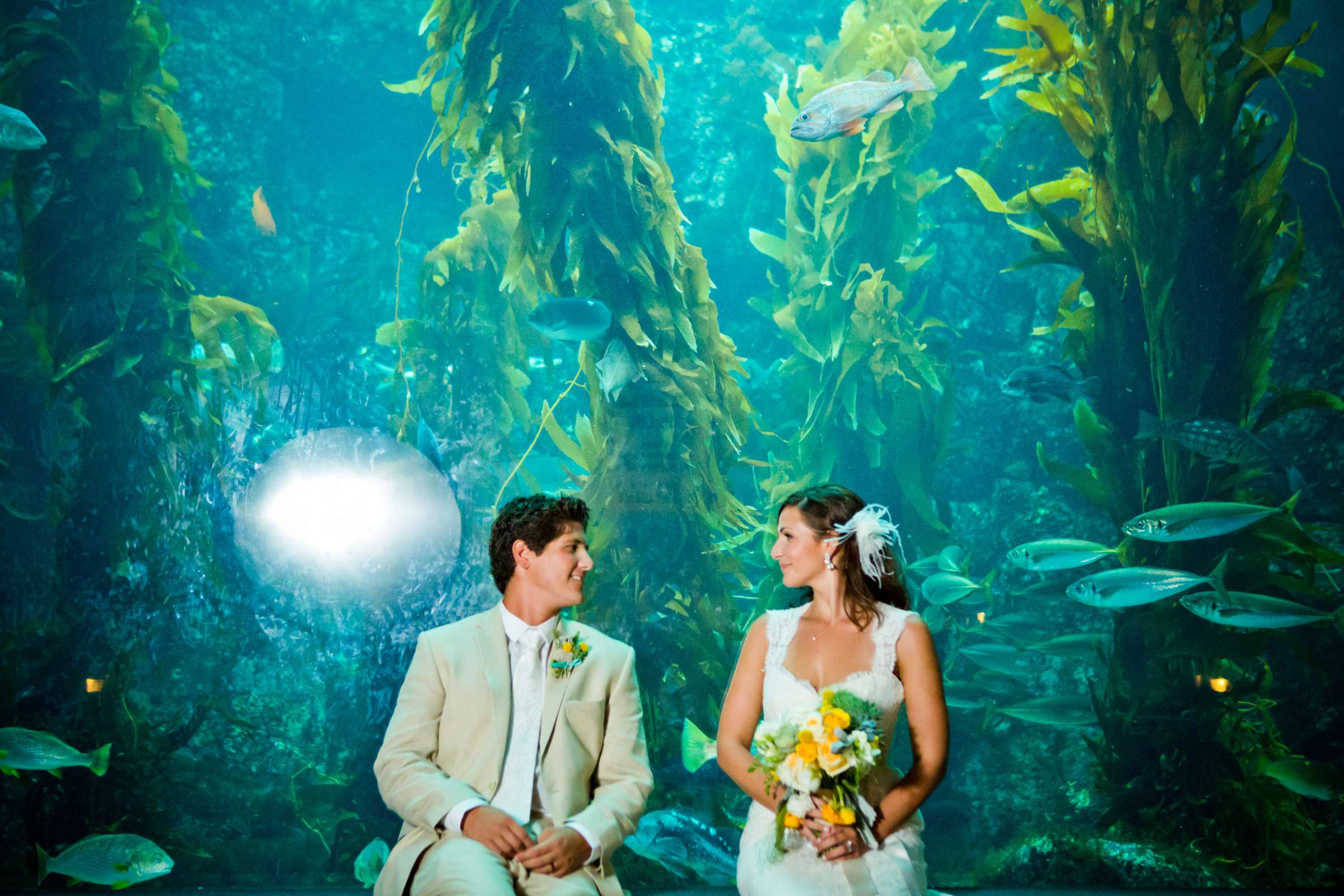 Birch Aquarium at Scripps Wedding coordinated by Amorology Weddings, Erica and Nick Wedding Photo #360064 by True Photography