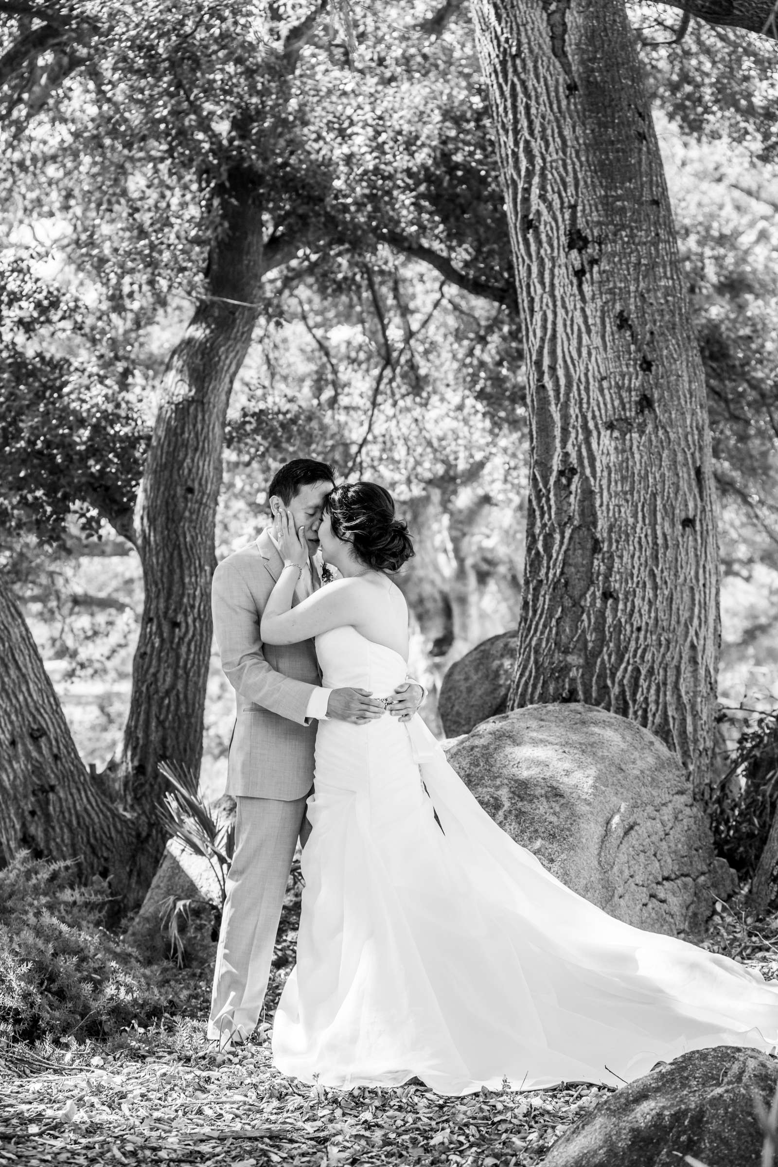 Mt Woodson Castle Wedding, Winnie and Michael Wedding Photo #360417 by True Photography