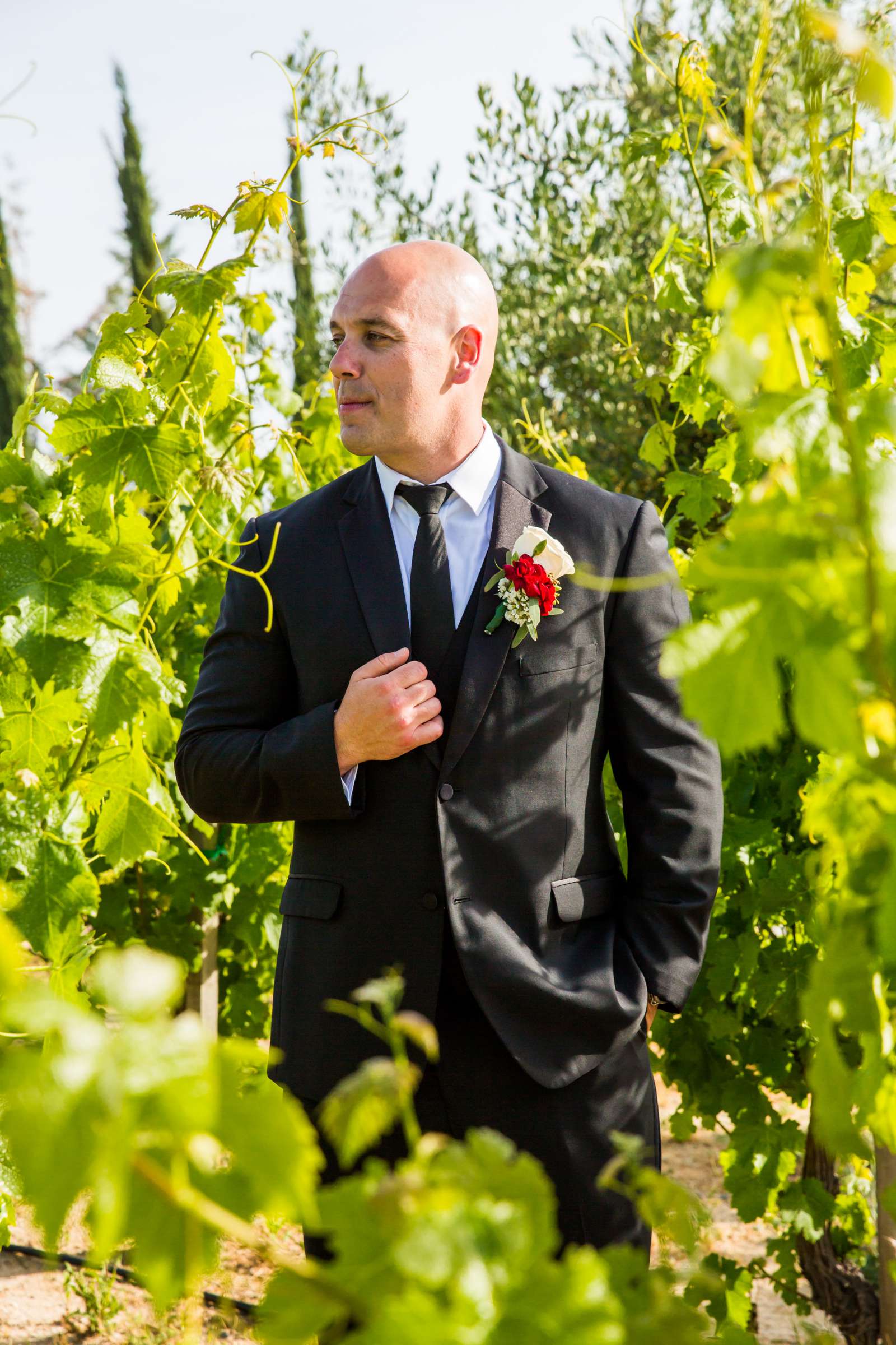 Mount Palomar Winery Wedding, Sarah and Dallas Wedding Photo #19 by True Photography