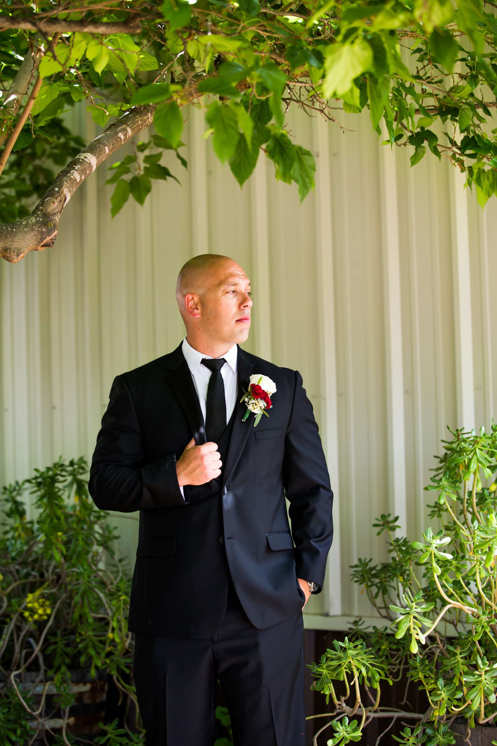 Mount Palomar Winery Wedding, Sarah and Dallas Wedding Photo #43 by True Photography