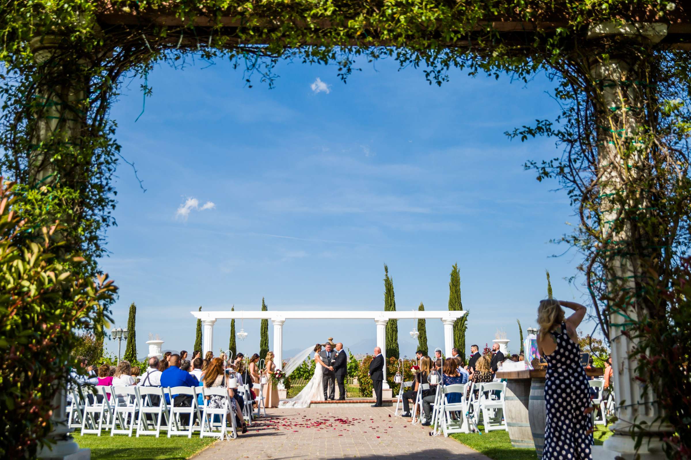 Mount Palomar Winery Wedding, Sarah and Dallas Wedding Photo #55 by True Photography