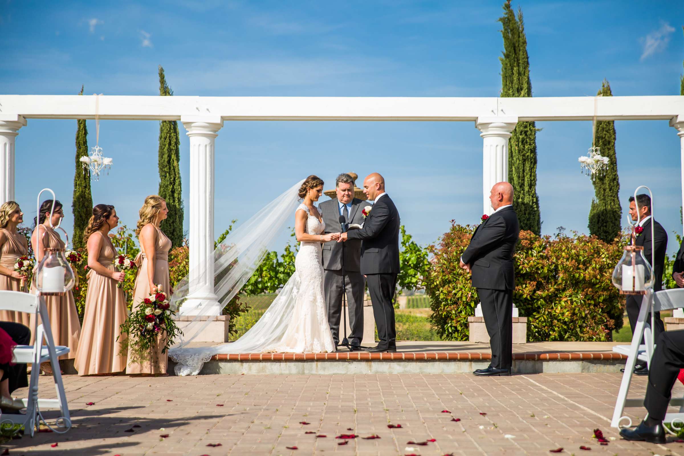Mount Palomar Winery Wedding, Sarah and Dallas Wedding Photo #64 by True Photography