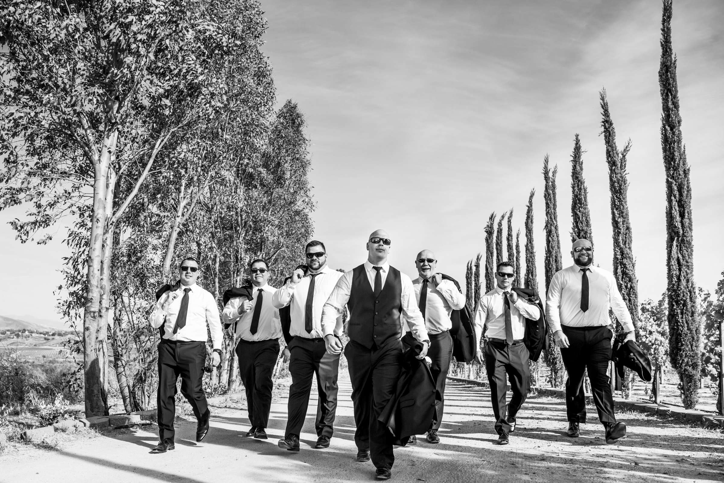 Mount Palomar Winery Wedding, Sarah and Dallas Wedding Photo #77 by True Photography