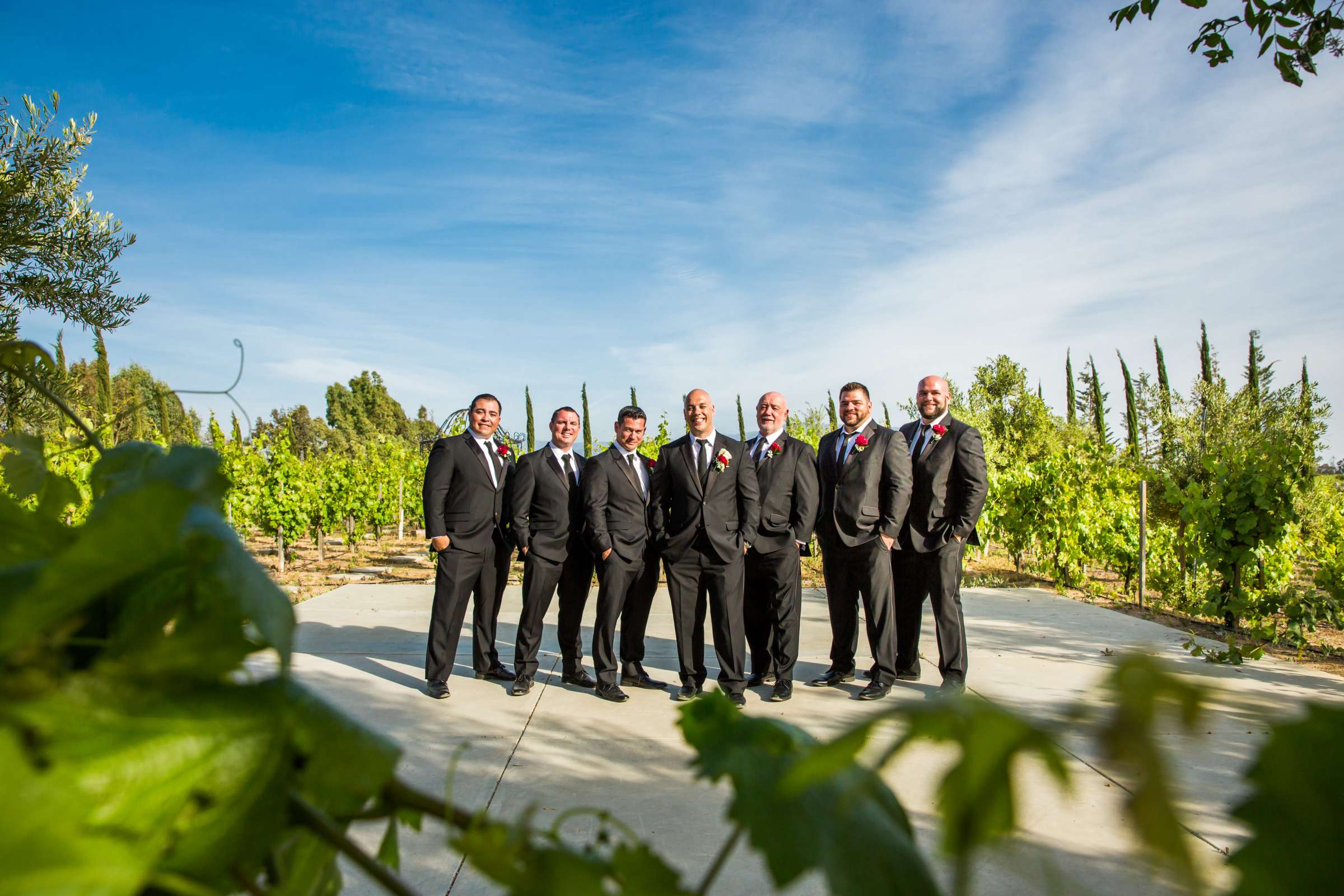 Mount Palomar Winery Wedding, Sarah and Dallas Wedding Photo #78 by True Photography