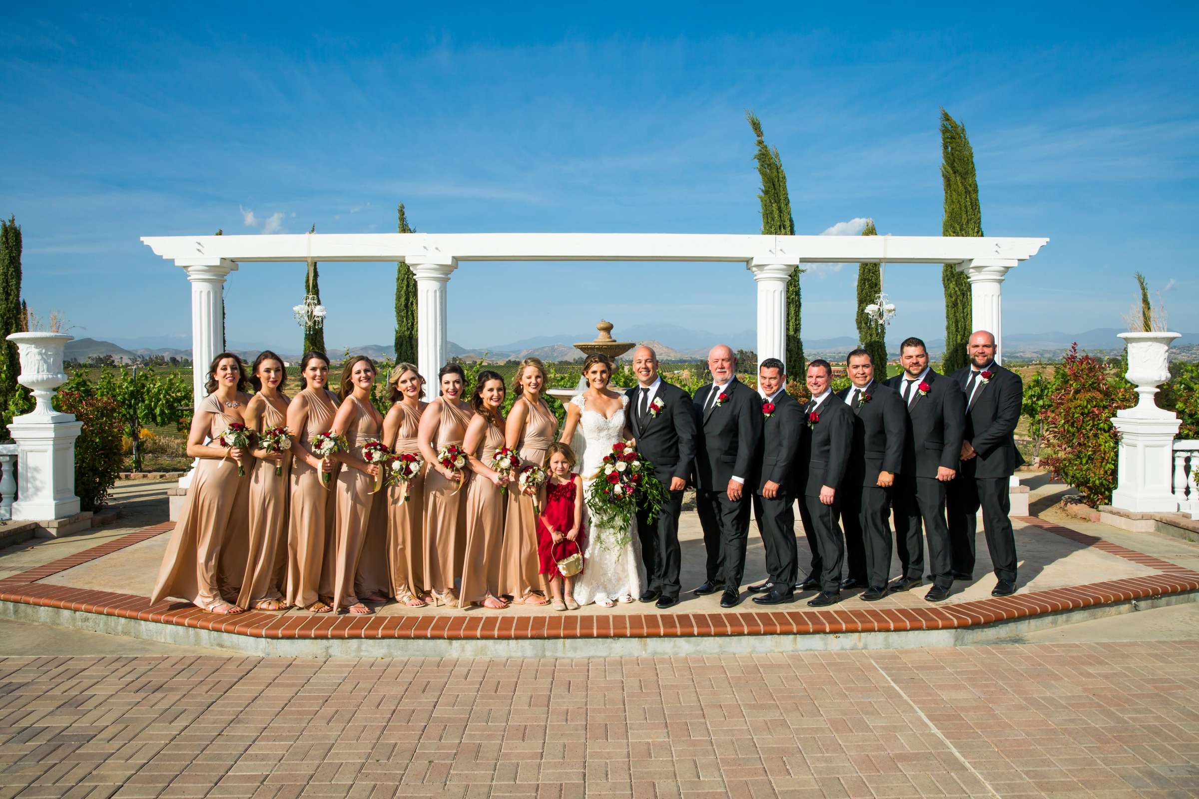Mount Palomar Winery Wedding, Sarah and Dallas Wedding Photo #82 by True Photography