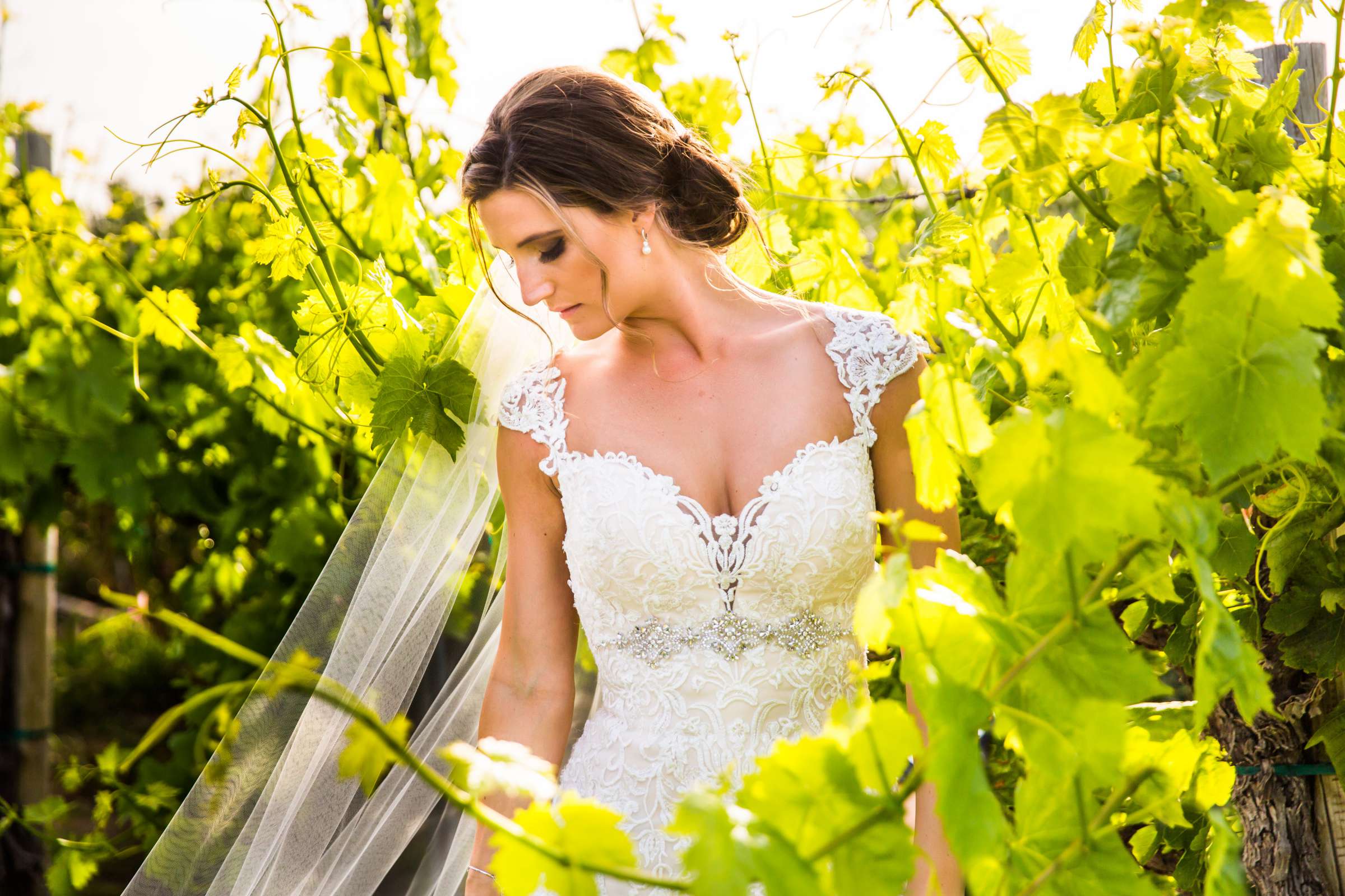 Mount Palomar Winery Wedding, Sarah and Dallas Wedding Photo #88 by True Photography
