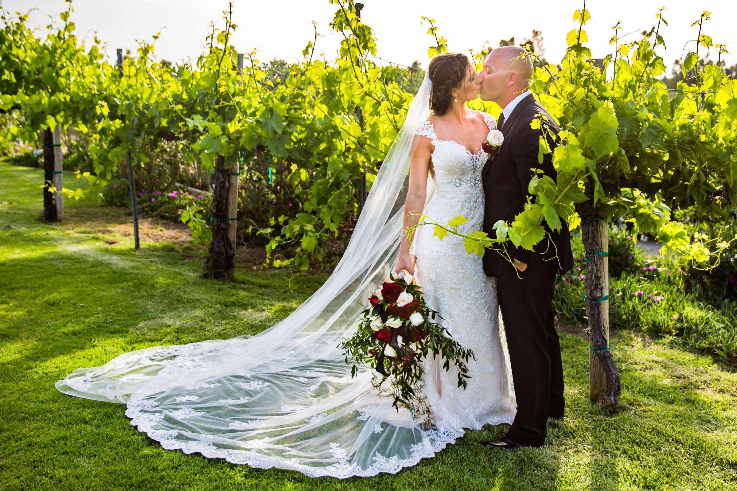 Mount Palomar Winery Wedding, Sarah and Dallas Wedding Photo #90 by True Photography