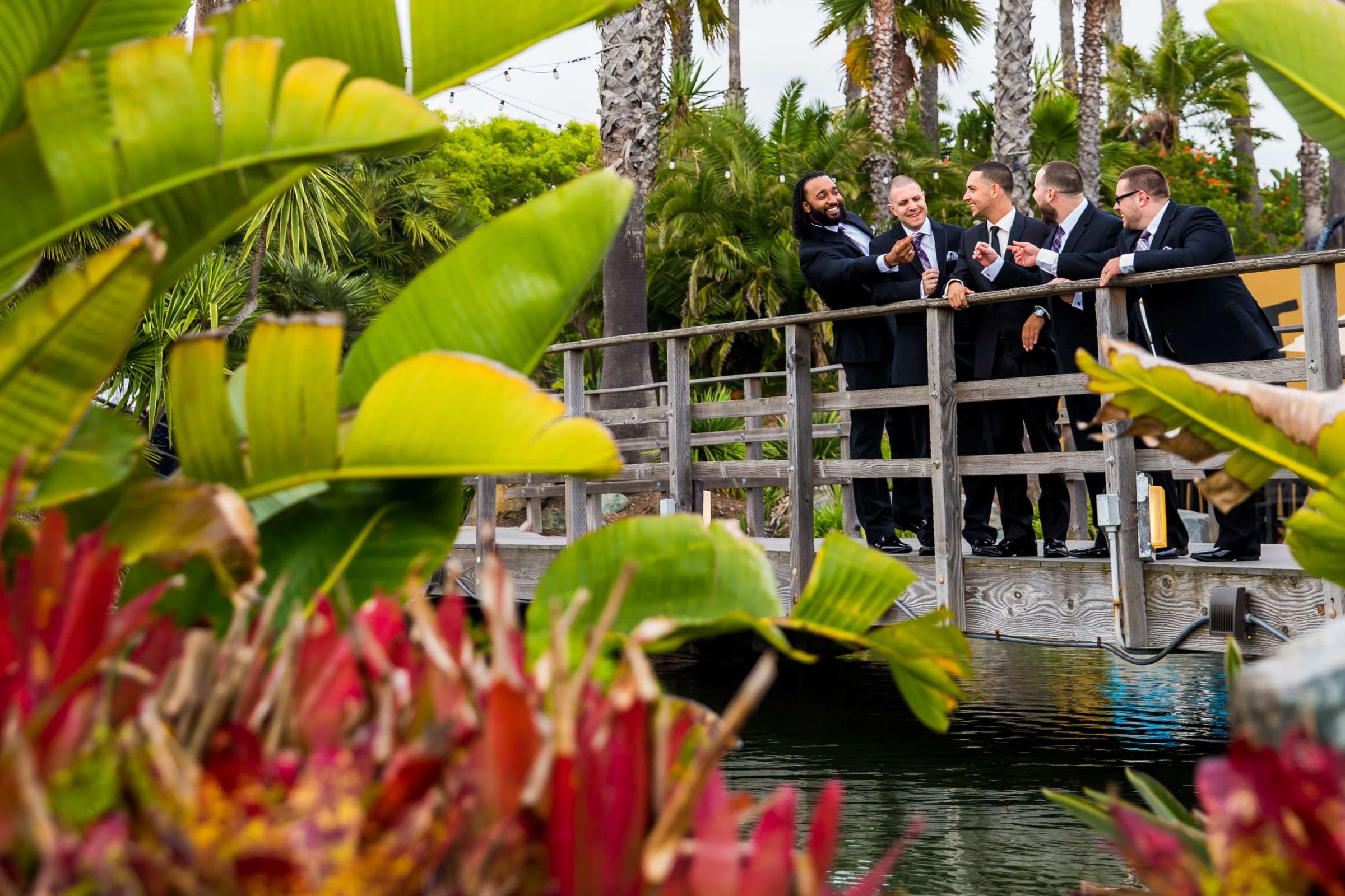 Paradise Point Wedding coordinated by EverAfter Events, Fallon and Anthony Wedding Photo #366471 by True Photography