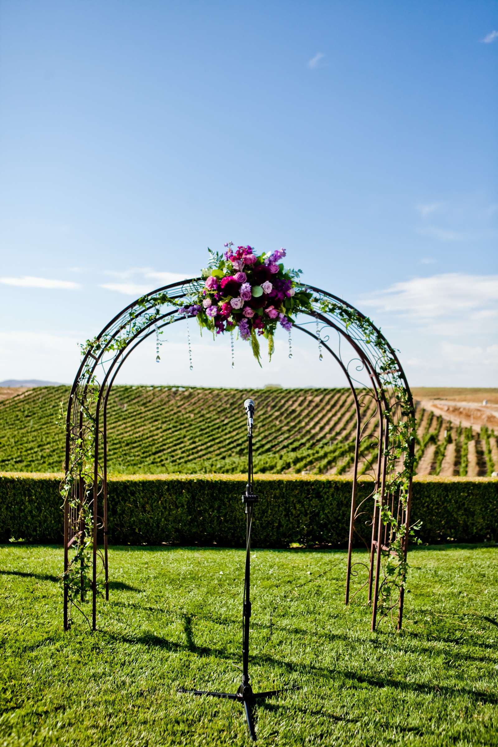 Callaway Vineyards & Winery Wedding coordinated by Michelle Garibay Events, Naomi and Partho Wedding Photo #367807 by True Photography
