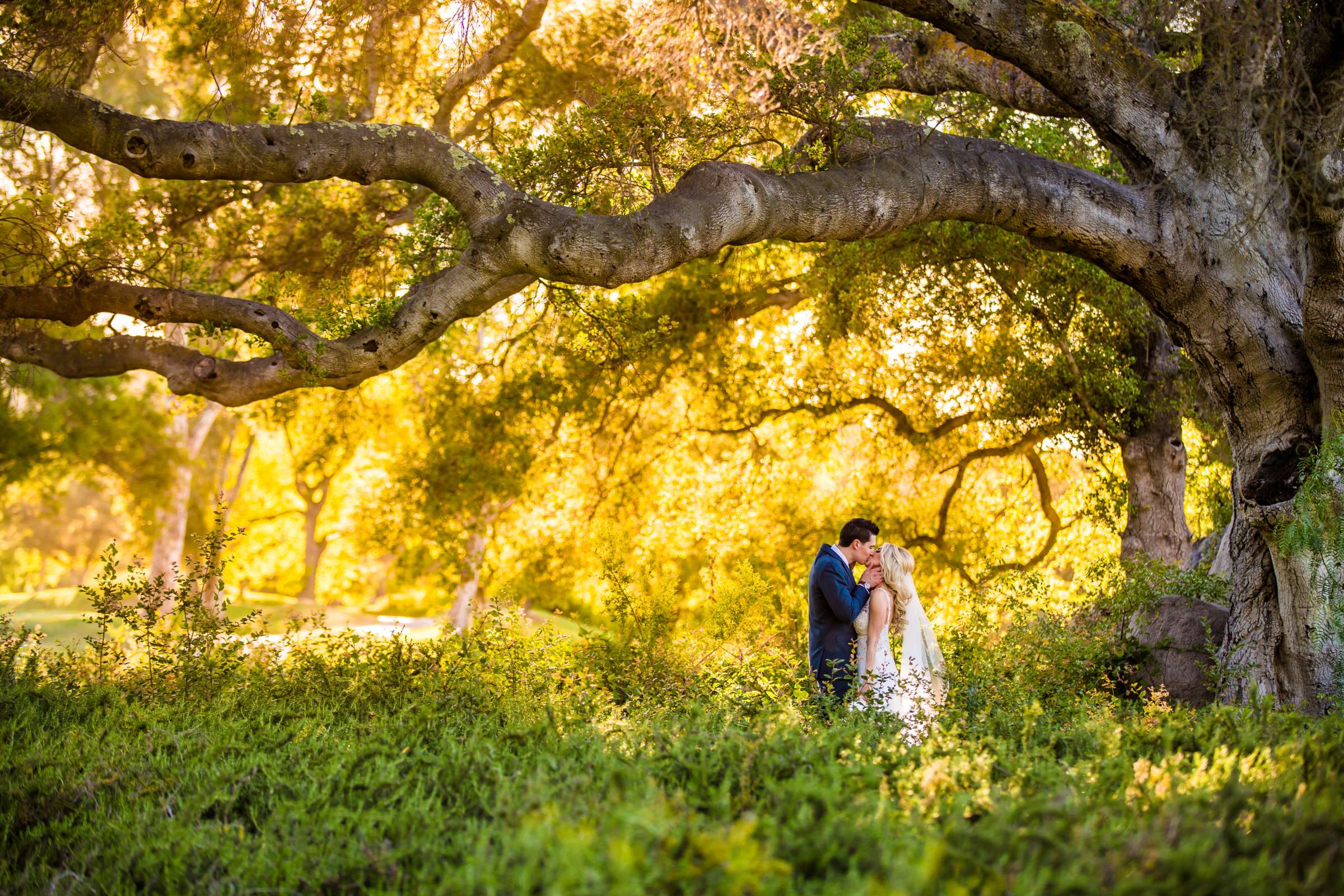 Forest at Mt Woodson Castle Wedding coordinated by SD Weddings by Gina, Sarah and Nick Wedding Photo #4 by True Photography