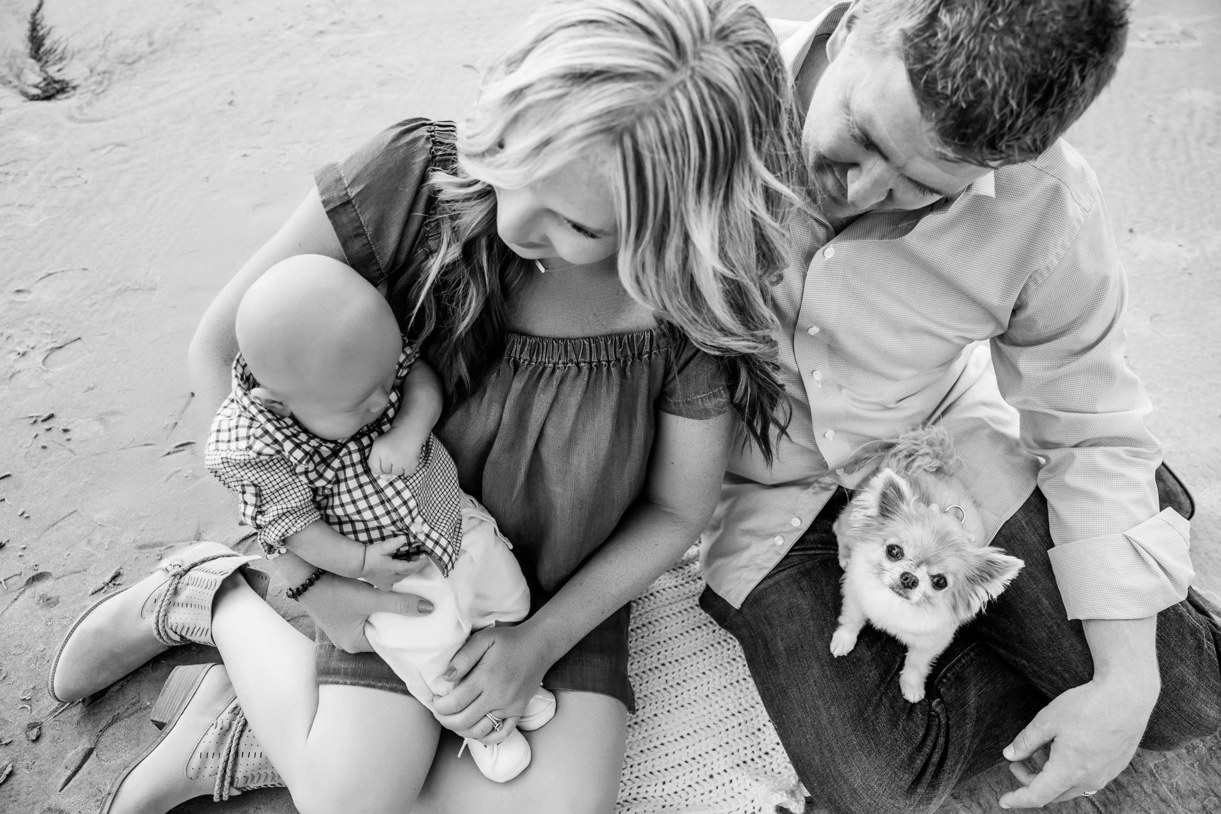 Family Portraits, Ashley and Tyler Family Photo #371338 by True Photography