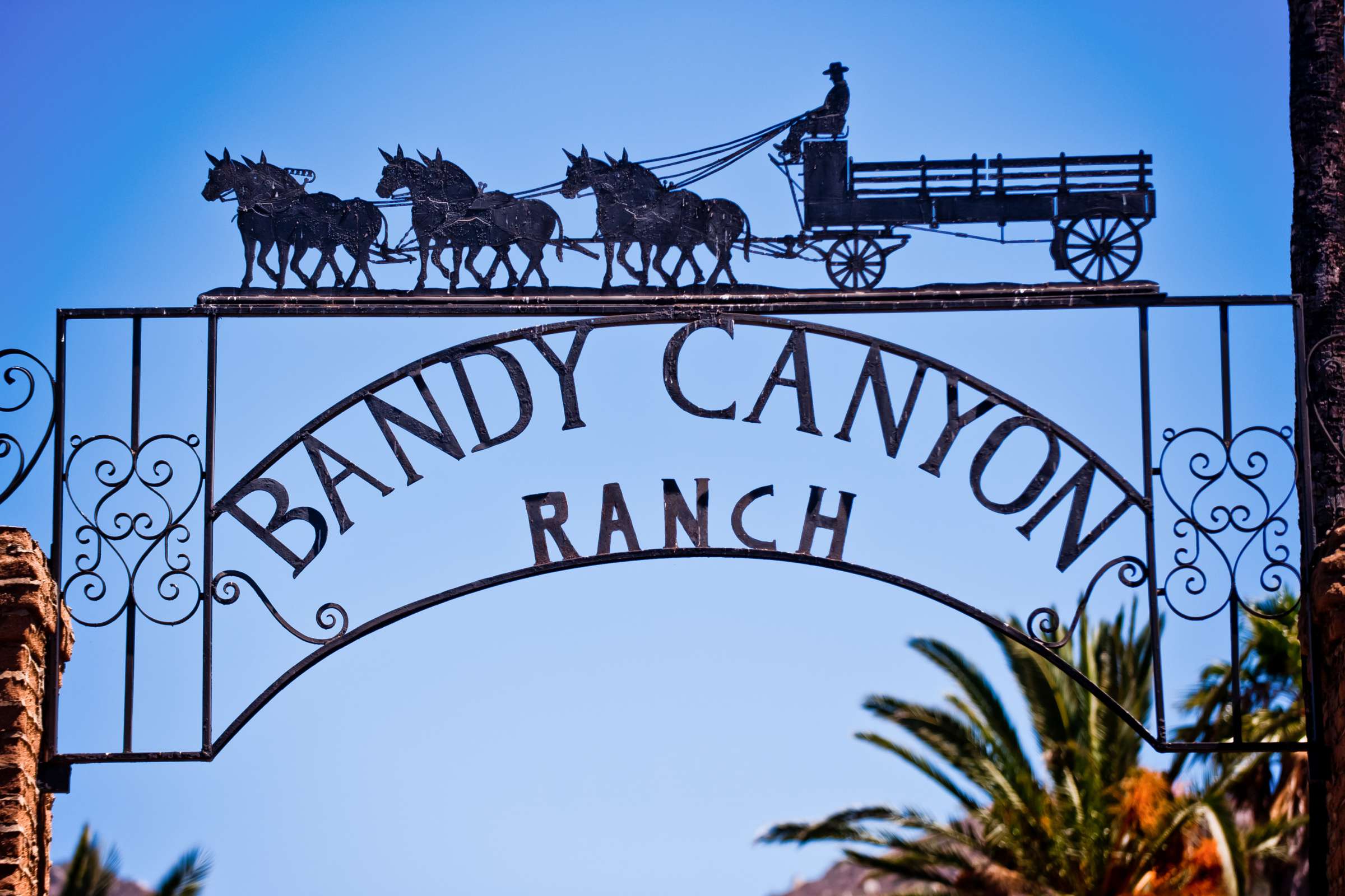 The Ranch at Bandy Canyon Wedding coordinated by First Comes Love Weddings & Events, Abra and Gerhard Wedding Photo #373138 by True Photography