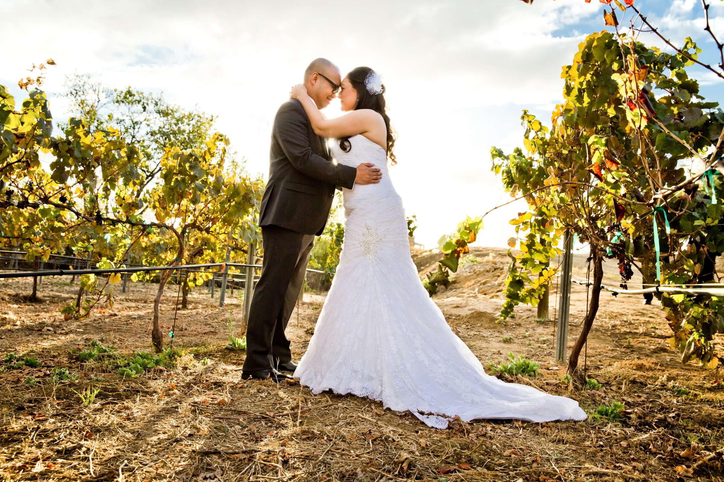 Wilson Creek Winery Wedding, Monica and Dhore Wedding Photo #374027 by True Photography
