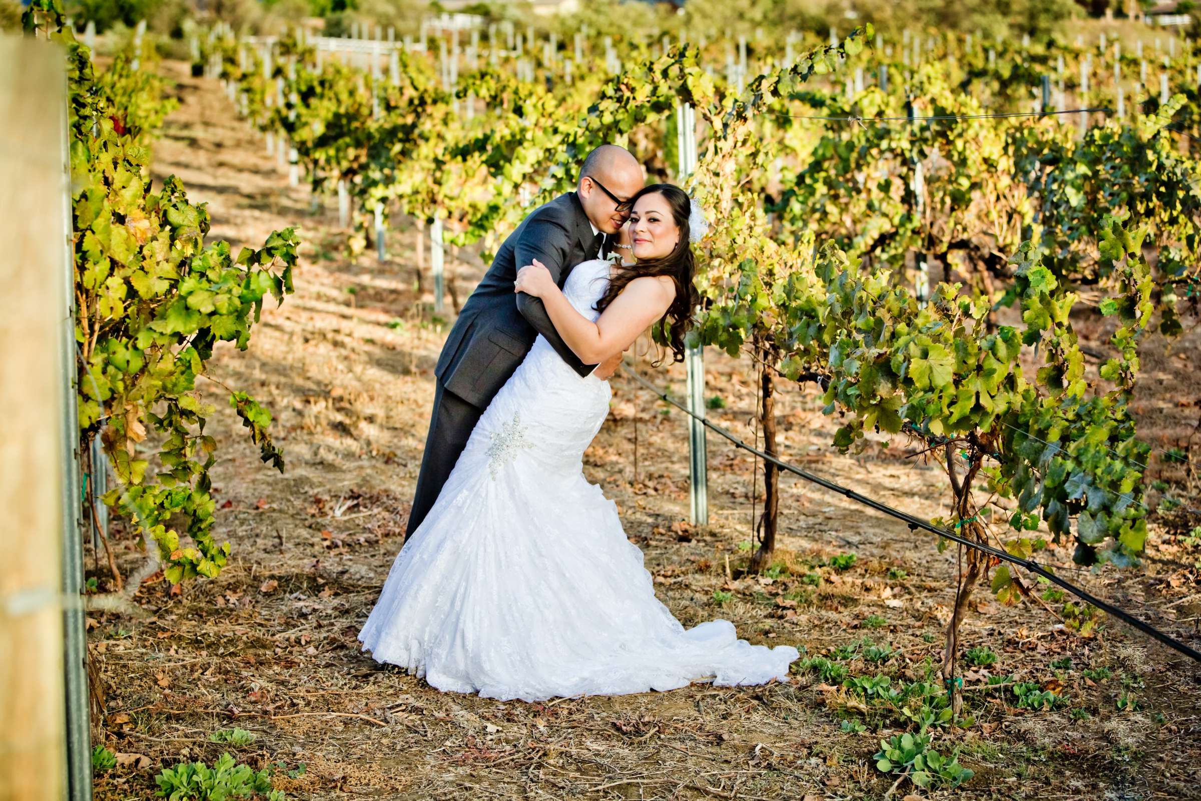 Wilson Creek Winery Wedding, Monica and Dhore Wedding Photo #374038 by True Photography