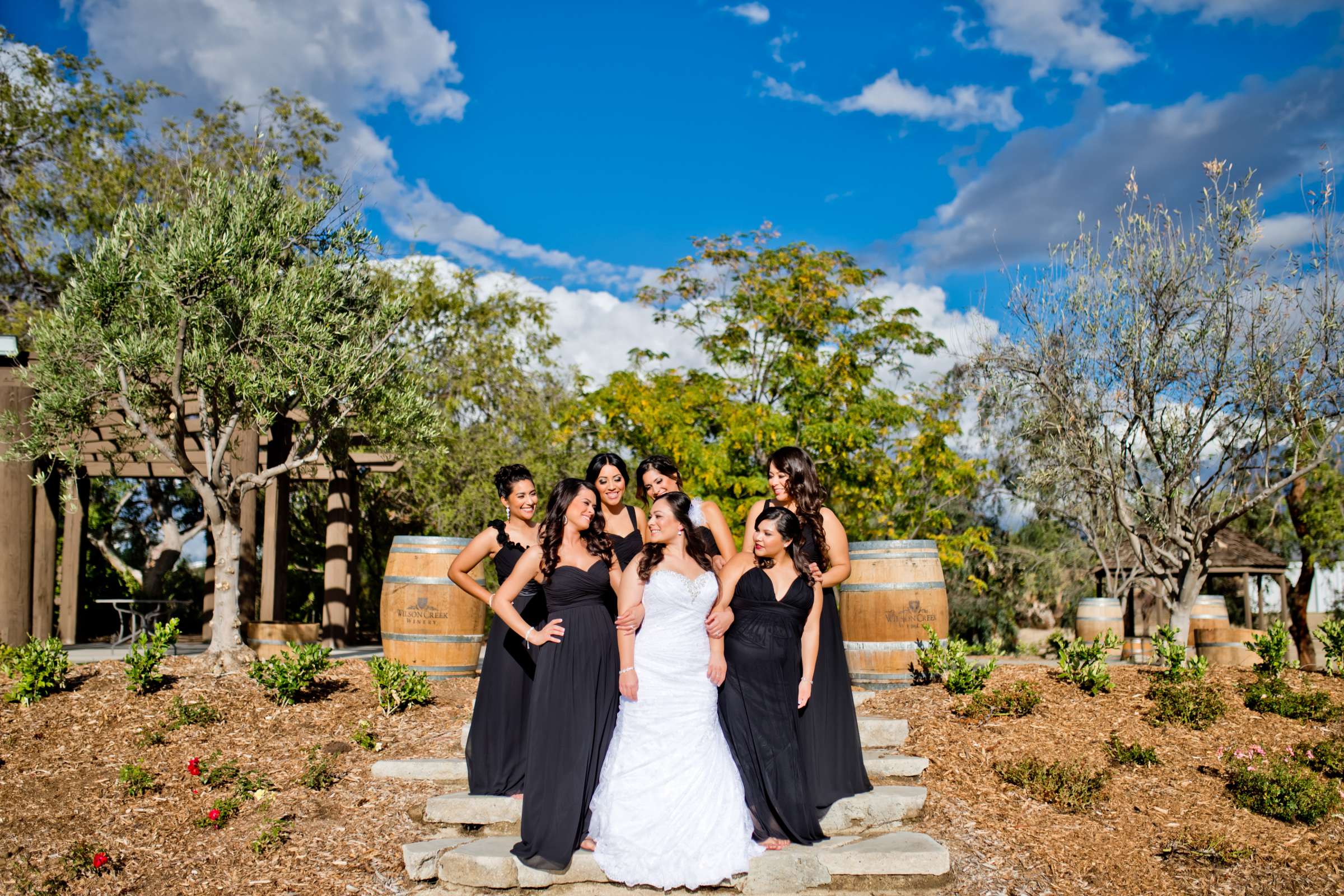 Wilson Creek Winery Wedding, Monica and Dhore Wedding Photo #374047 by True Photography