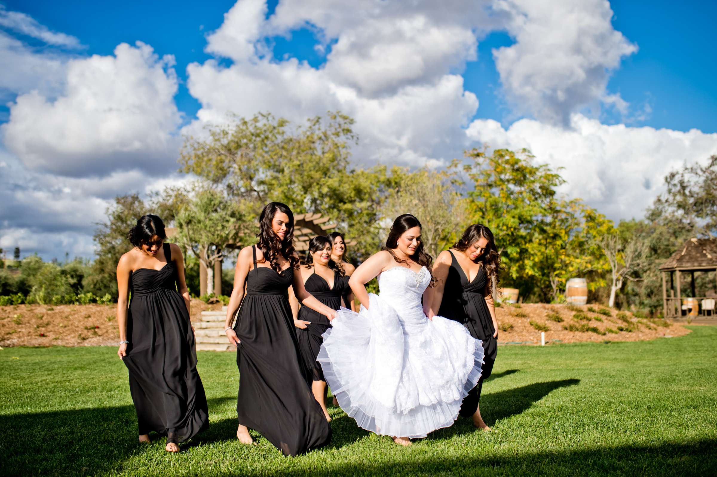 Wilson Creek Winery Wedding, Monica and Dhore Wedding Photo #374048 by True Photography