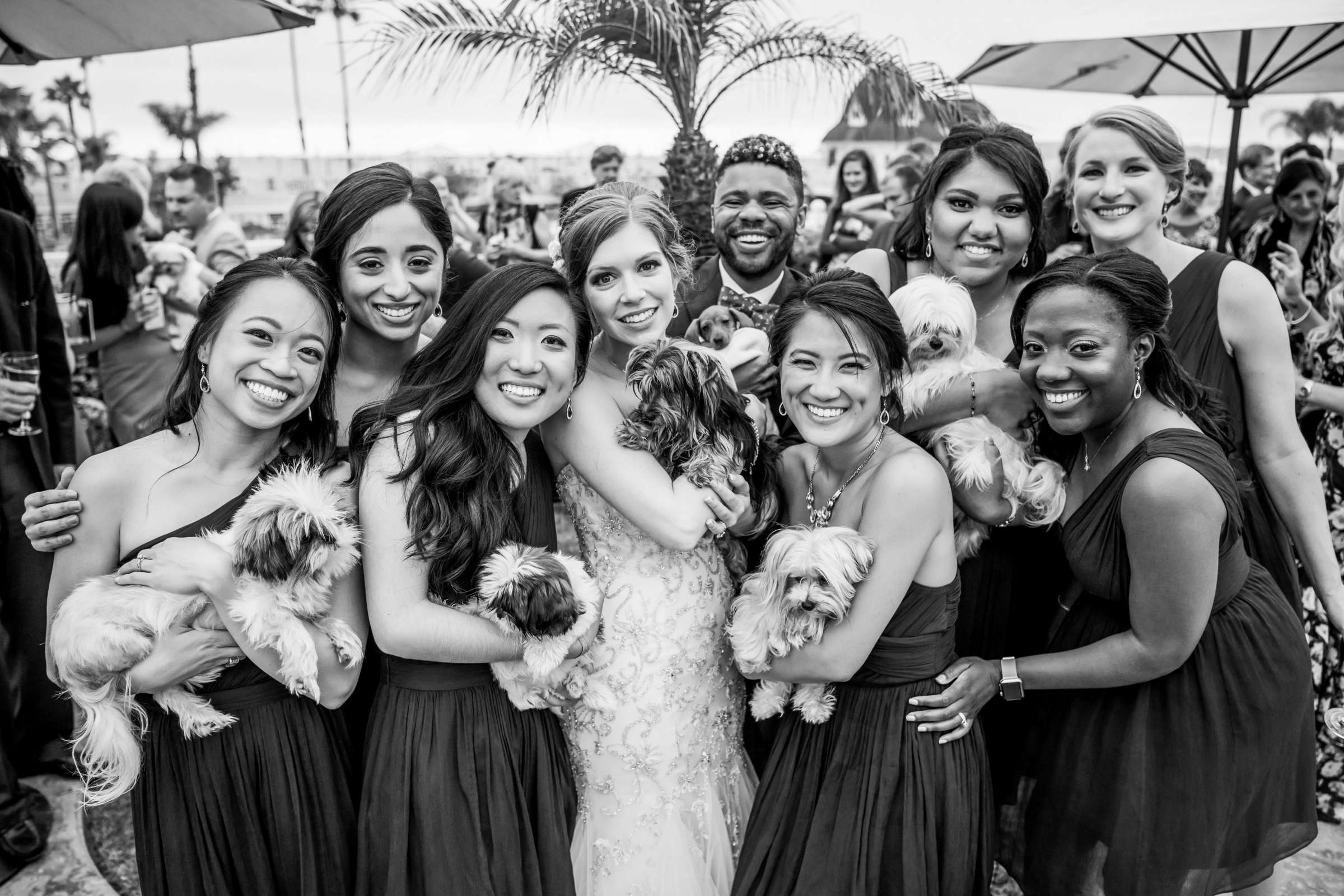 Hotel Del Coronado Wedding coordinated by Creative Affairs Inc, Hannah and Colby Wedding Photo #378603 by True Photography