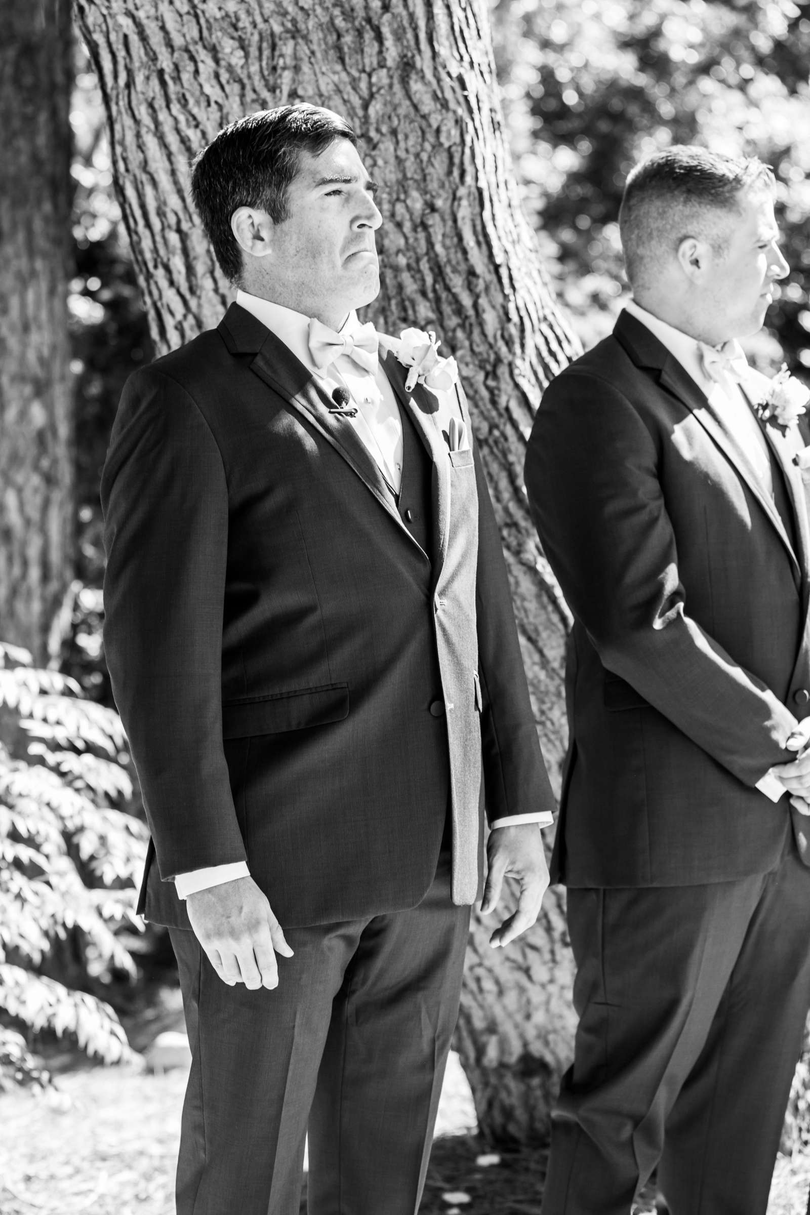 Green Gables Wedding Estate Wedding, Alice and Ben Wedding Photo #56 by True Photography
