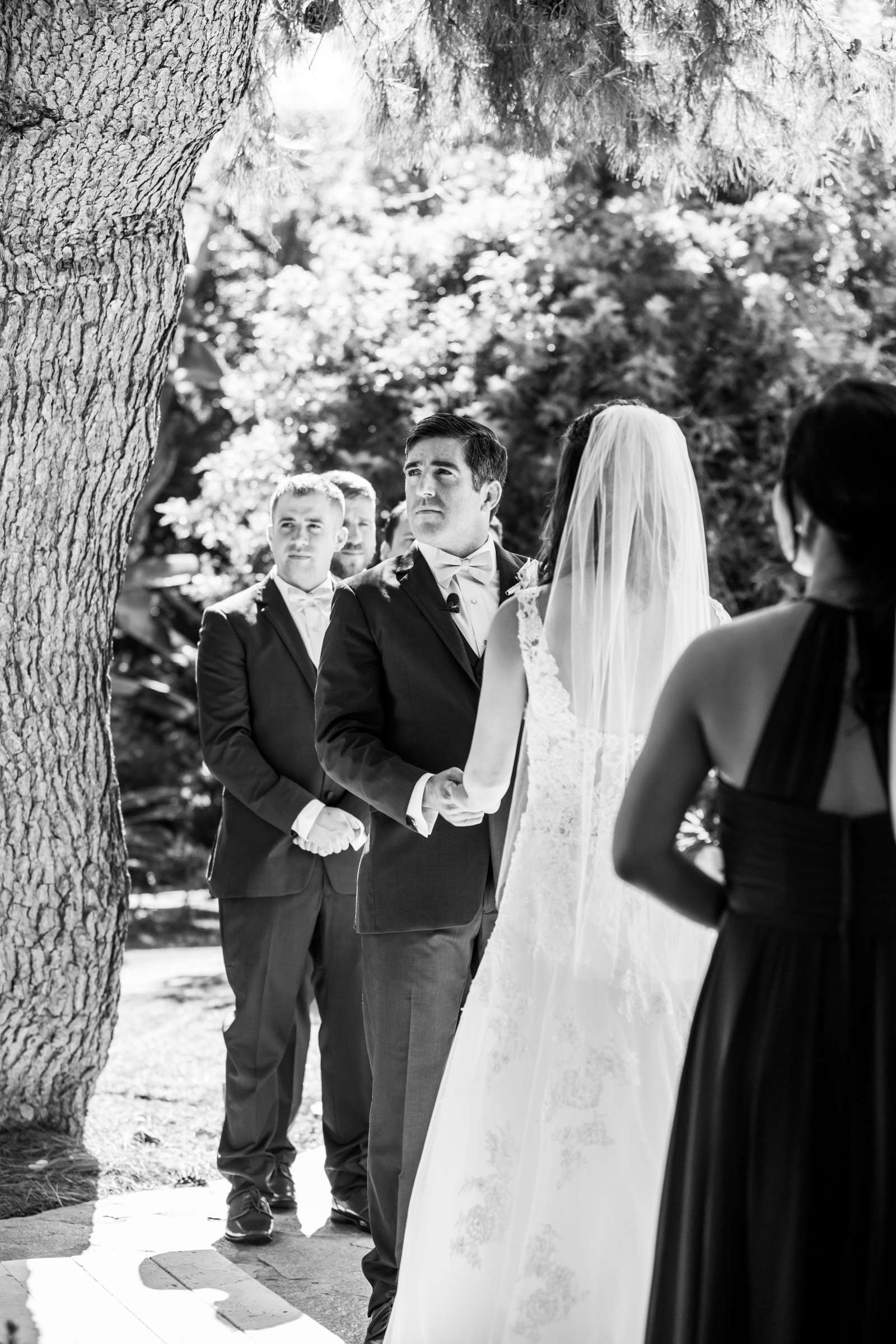 Green Gables Wedding Estate Wedding, Alice and Ben Wedding Photo #64 by True Photography