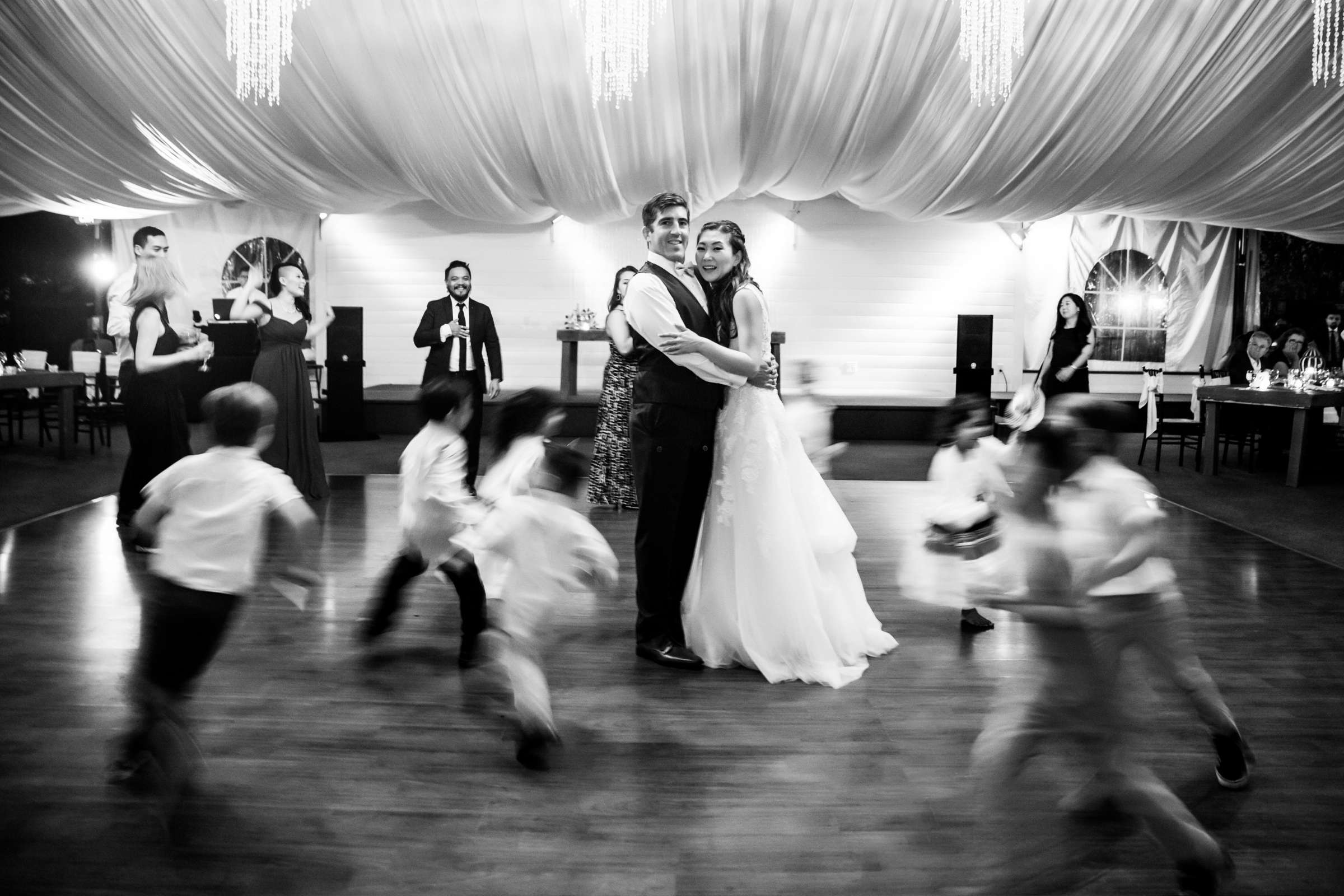 Green Gables Wedding Estate Wedding, Alice and Ben Wedding Photo #146 by True Photography