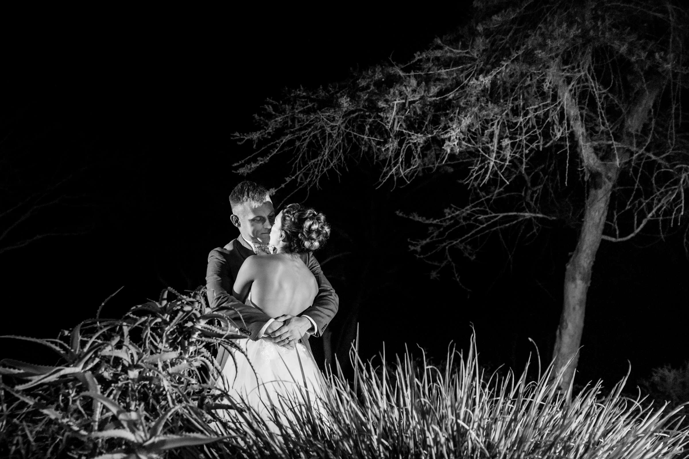 Safari Park Wedding, Danielle and Brendan Wedding Photo #4 by True Photography