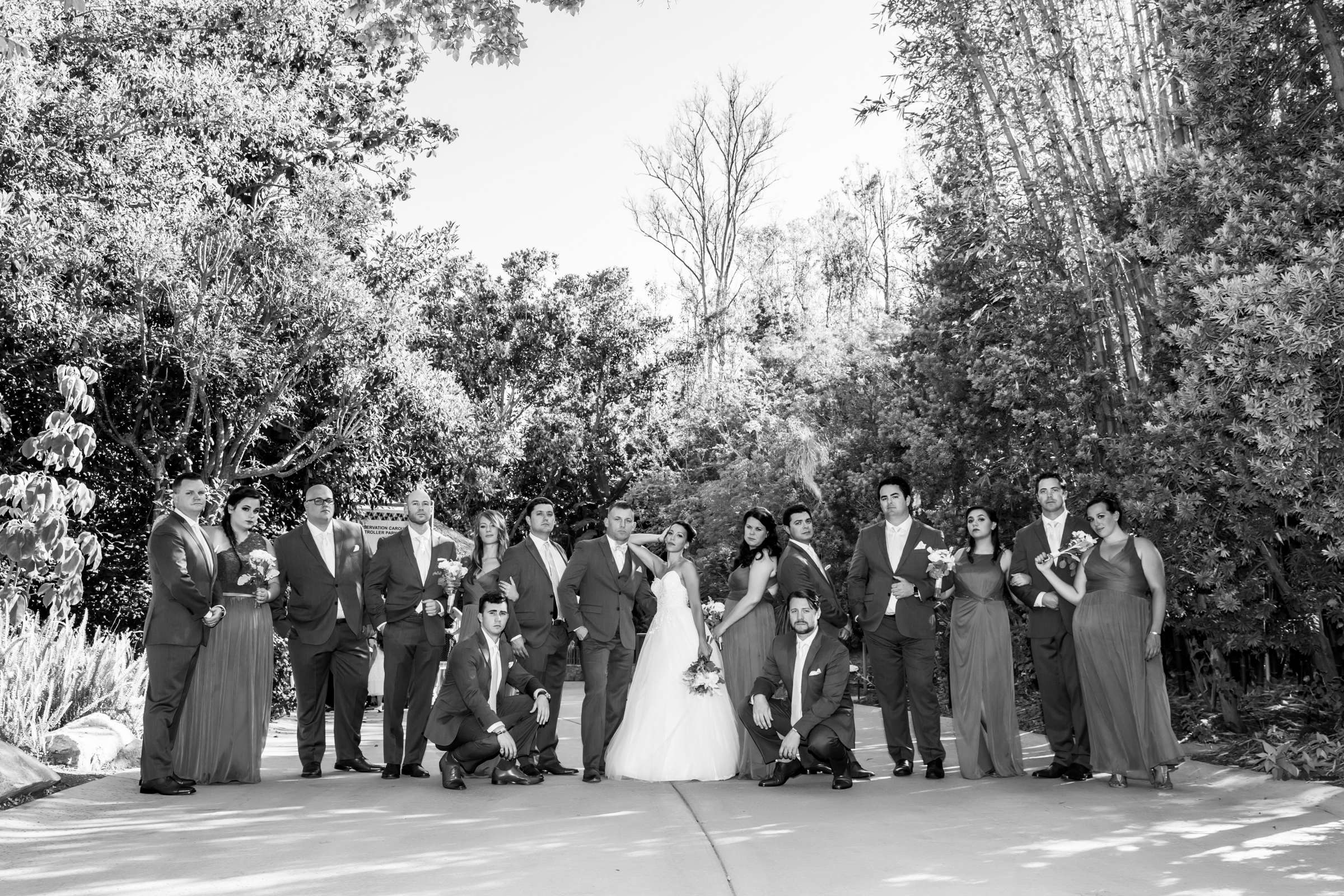Safari Park Wedding, Danielle and Brendan Wedding Photo #34 by True Photography