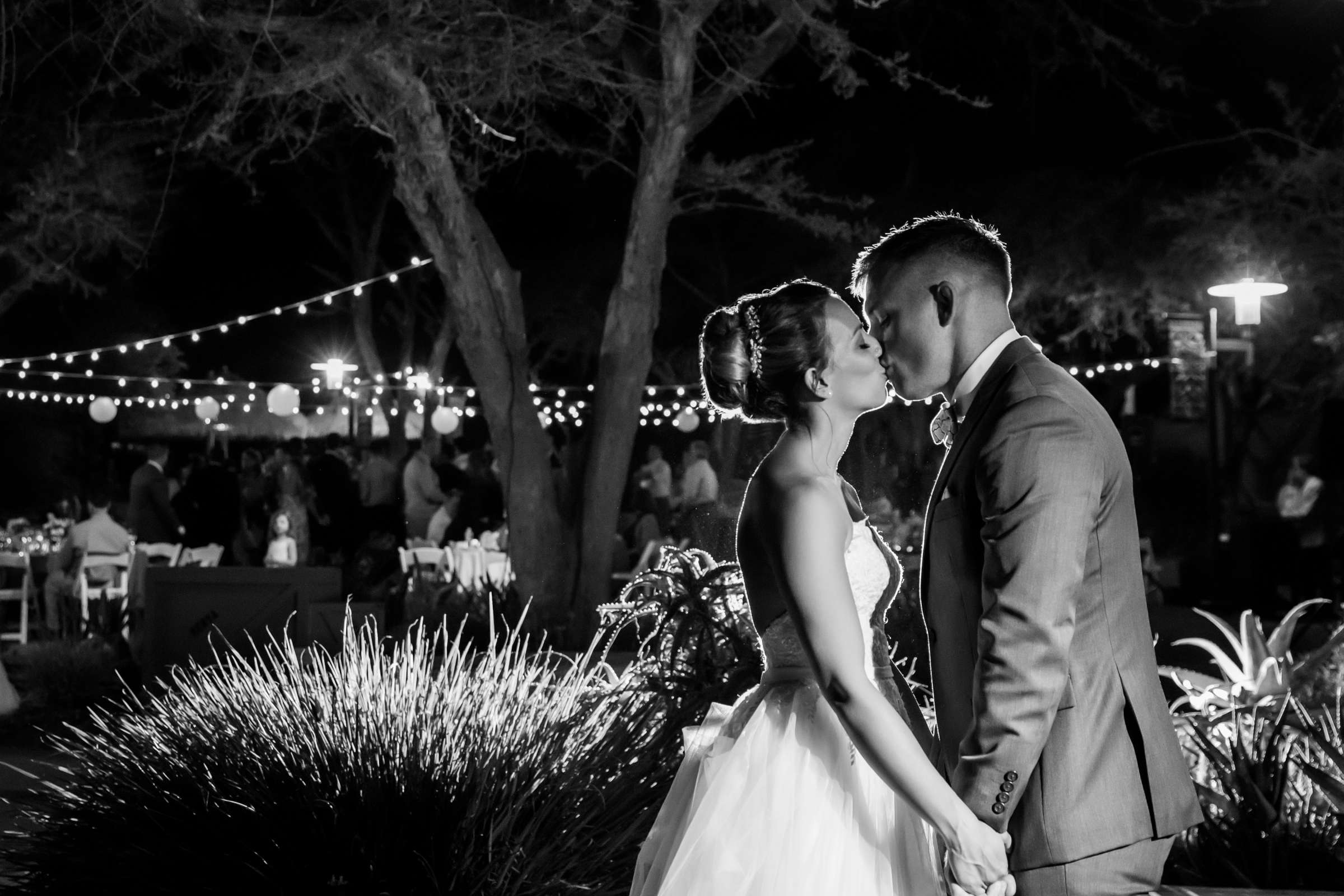 Safari Park Wedding, Danielle and Brendan Wedding Photo #40 by True Photography