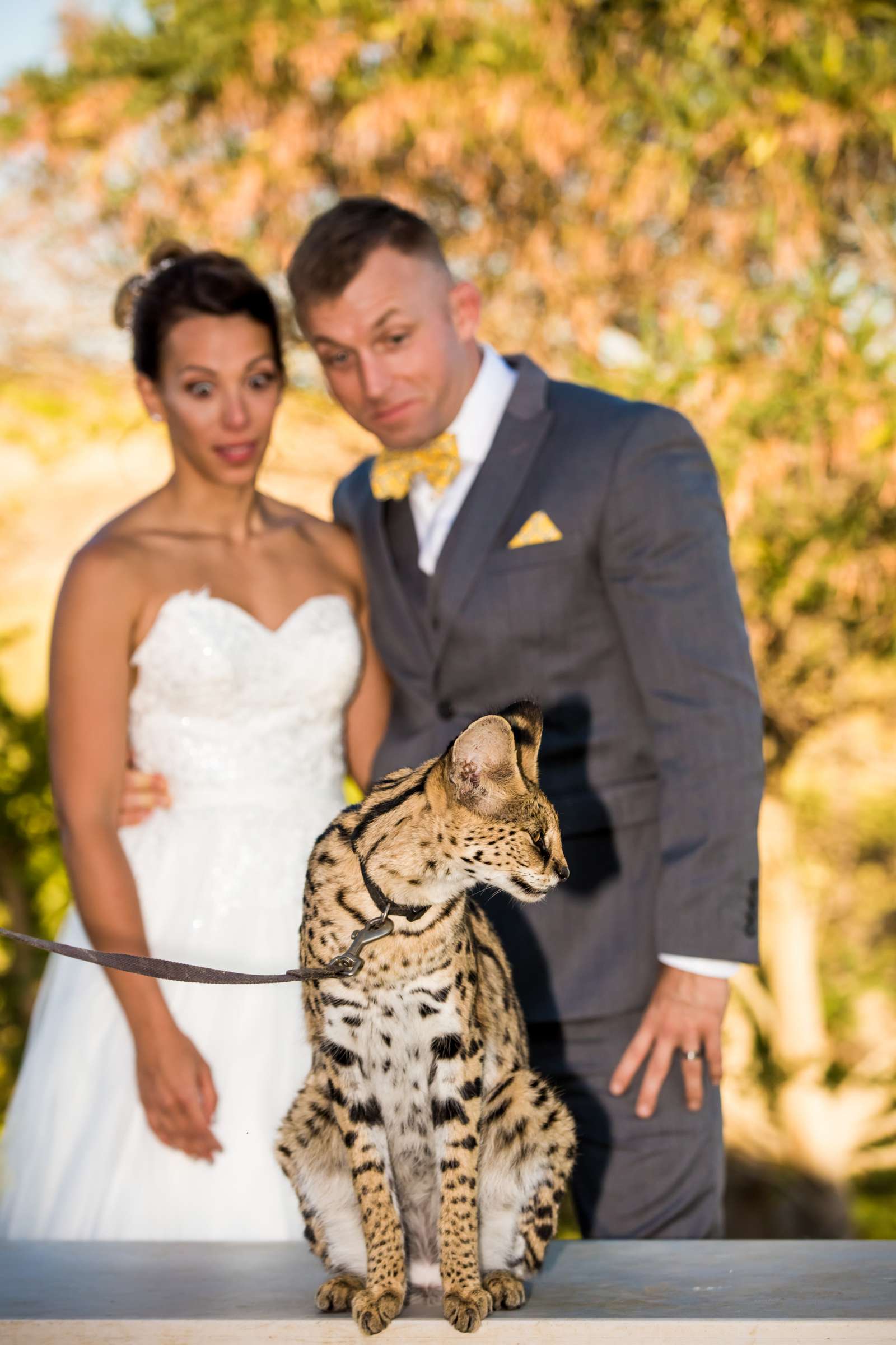 Safari Park Wedding, Danielle and Brendan Wedding Photo #82 by True Photography