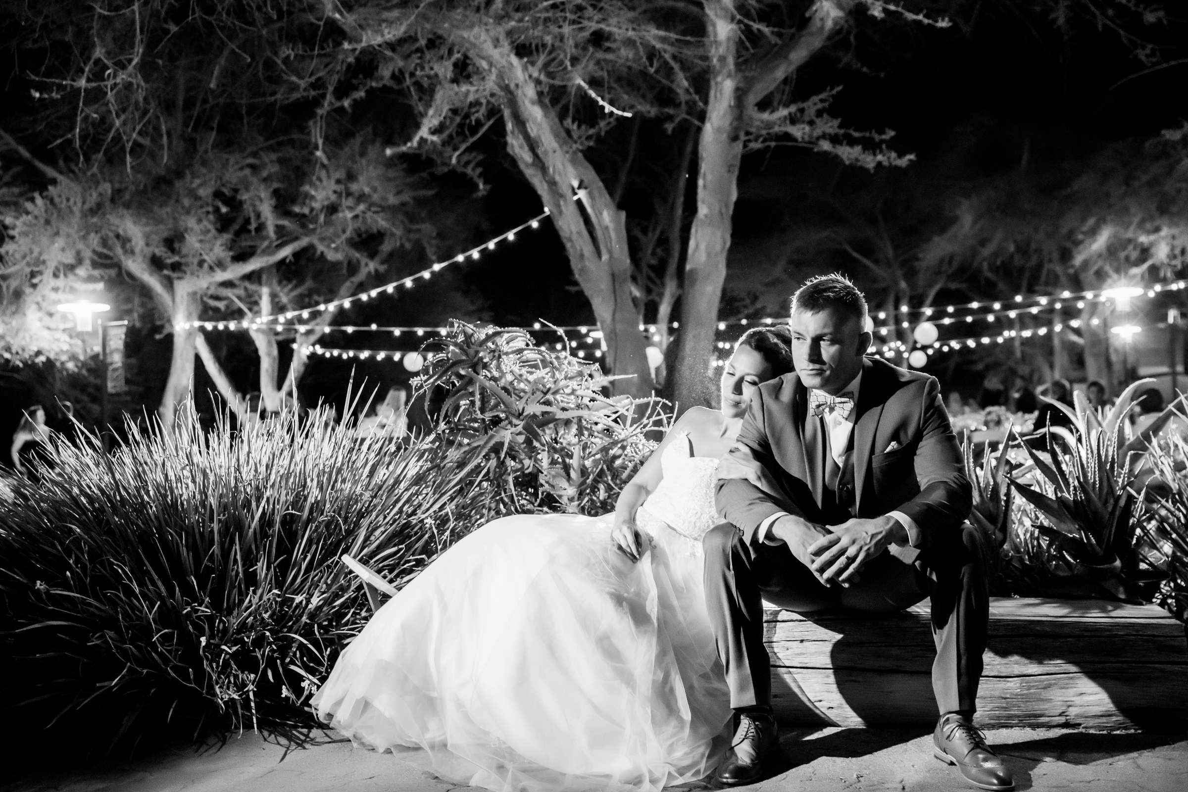 Safari Park Wedding, Danielle and Brendan Wedding Photo #89 by True Photography