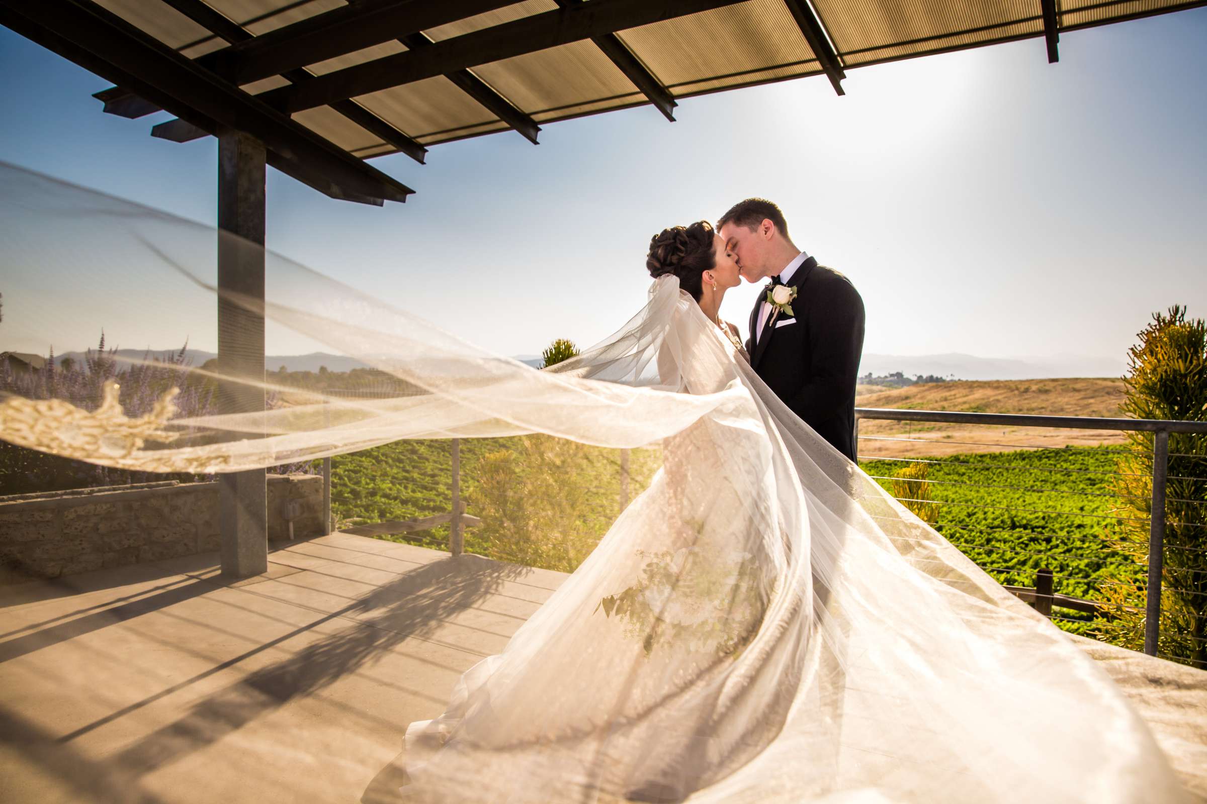 Callaway Vineyards & Winery Wedding, Natalia and Mike Wedding Photo #16 by True Photography