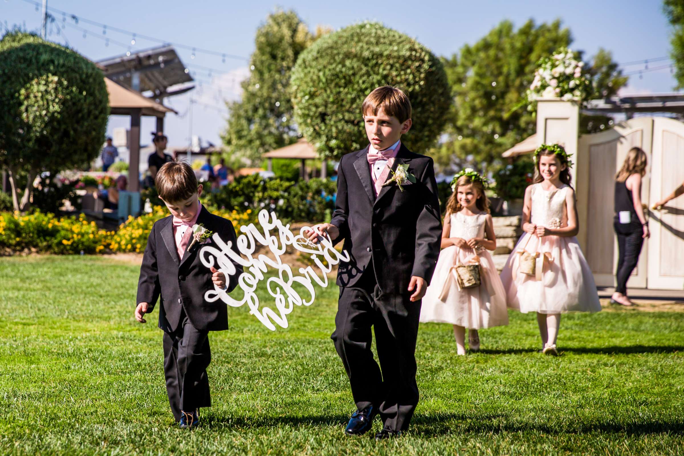 Callaway Vineyards & Winery Wedding, Natalia and Mike Wedding Photo #61 by True Photography