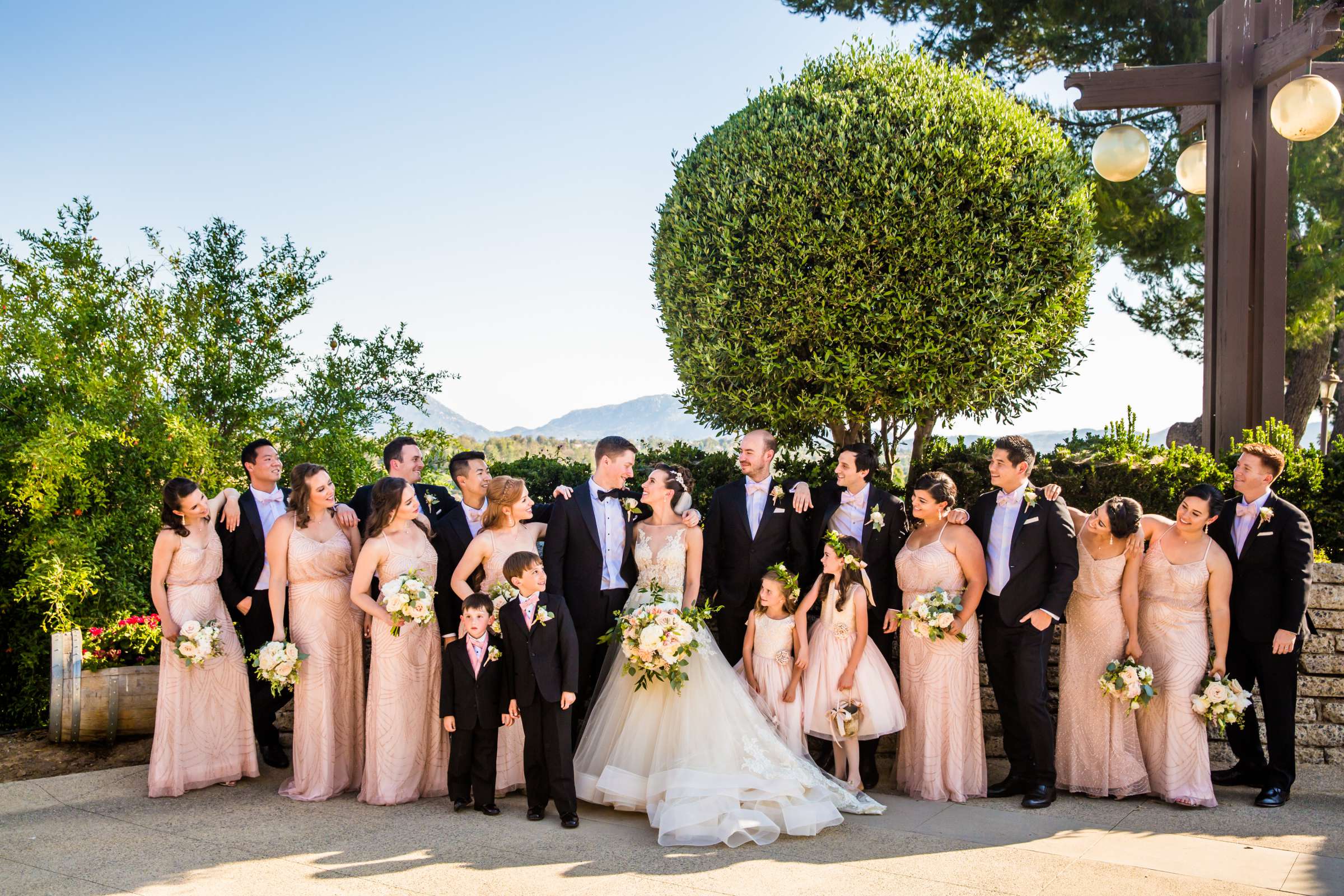 Callaway Vineyards & Winery Wedding, Natalia and Mike Wedding Photo #82 by True Photography
