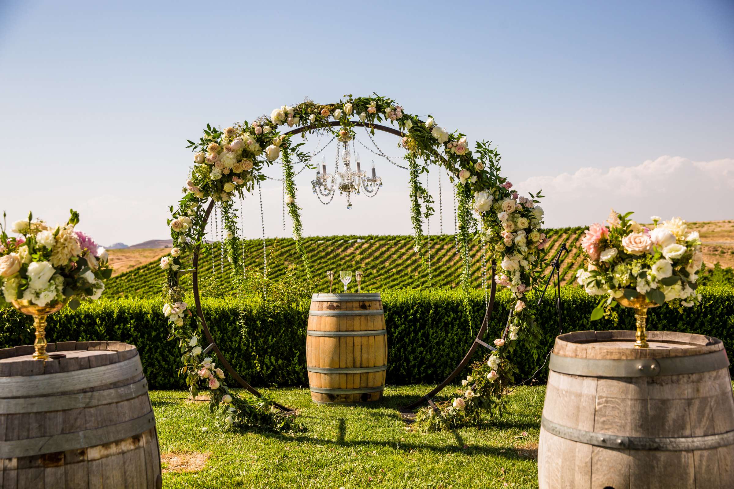 Callaway Vineyards & Winery Wedding, Natalia and Mike Wedding Photo #188 by True Photography