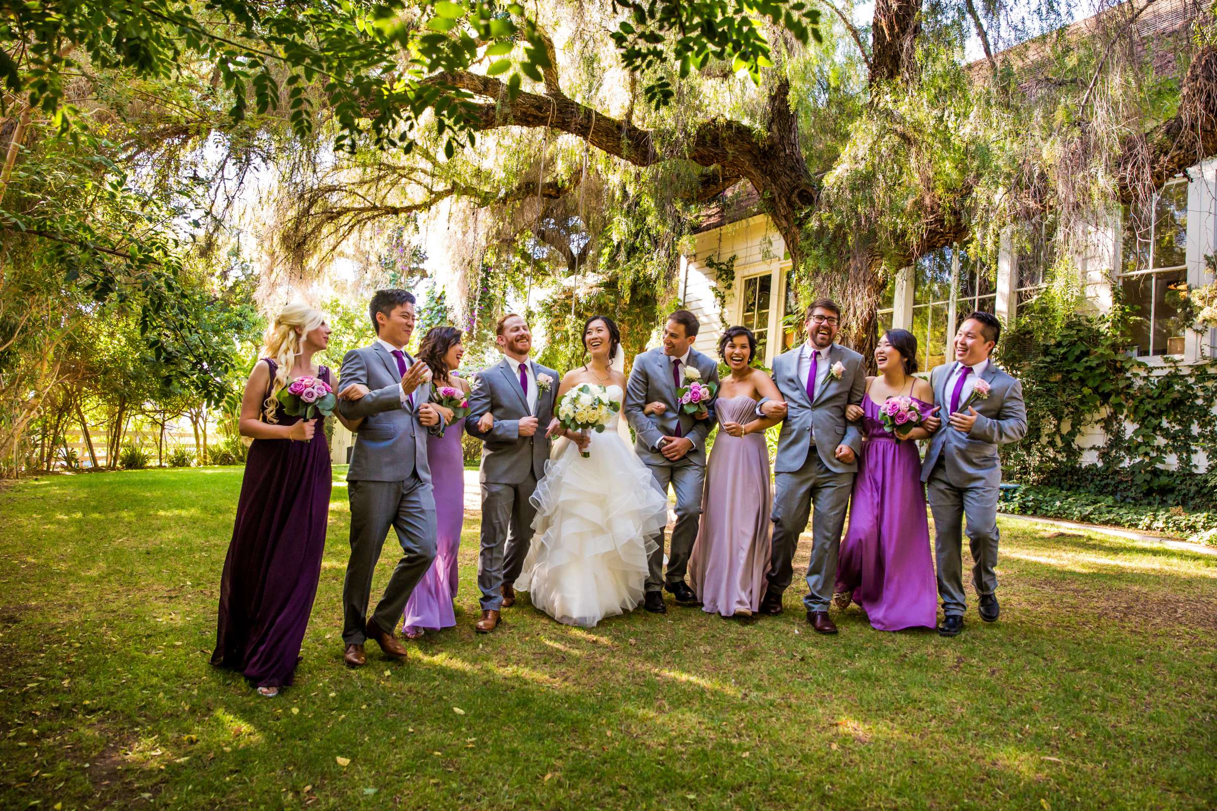 Green Gables Wedding Estate Wedding, Helen and Jonathan Wedding Photo #52 by True Photography