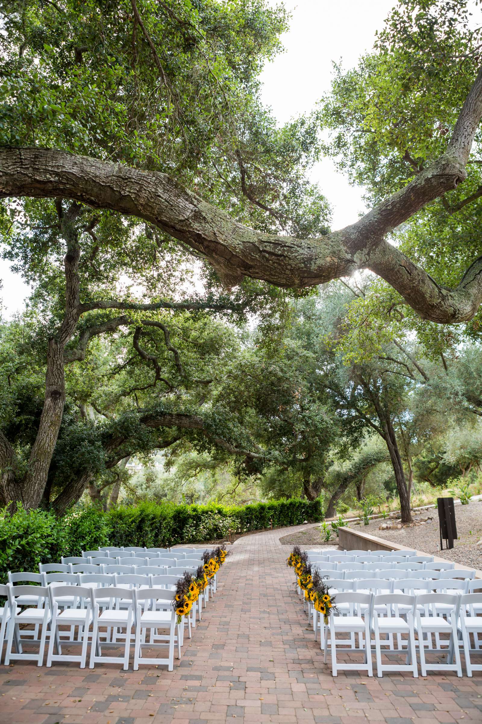 Mt Woodson Castle Wedding coordinated by Personal Touch Dining, Samantha and Brendan Wedding Photo #391785 by True Photography