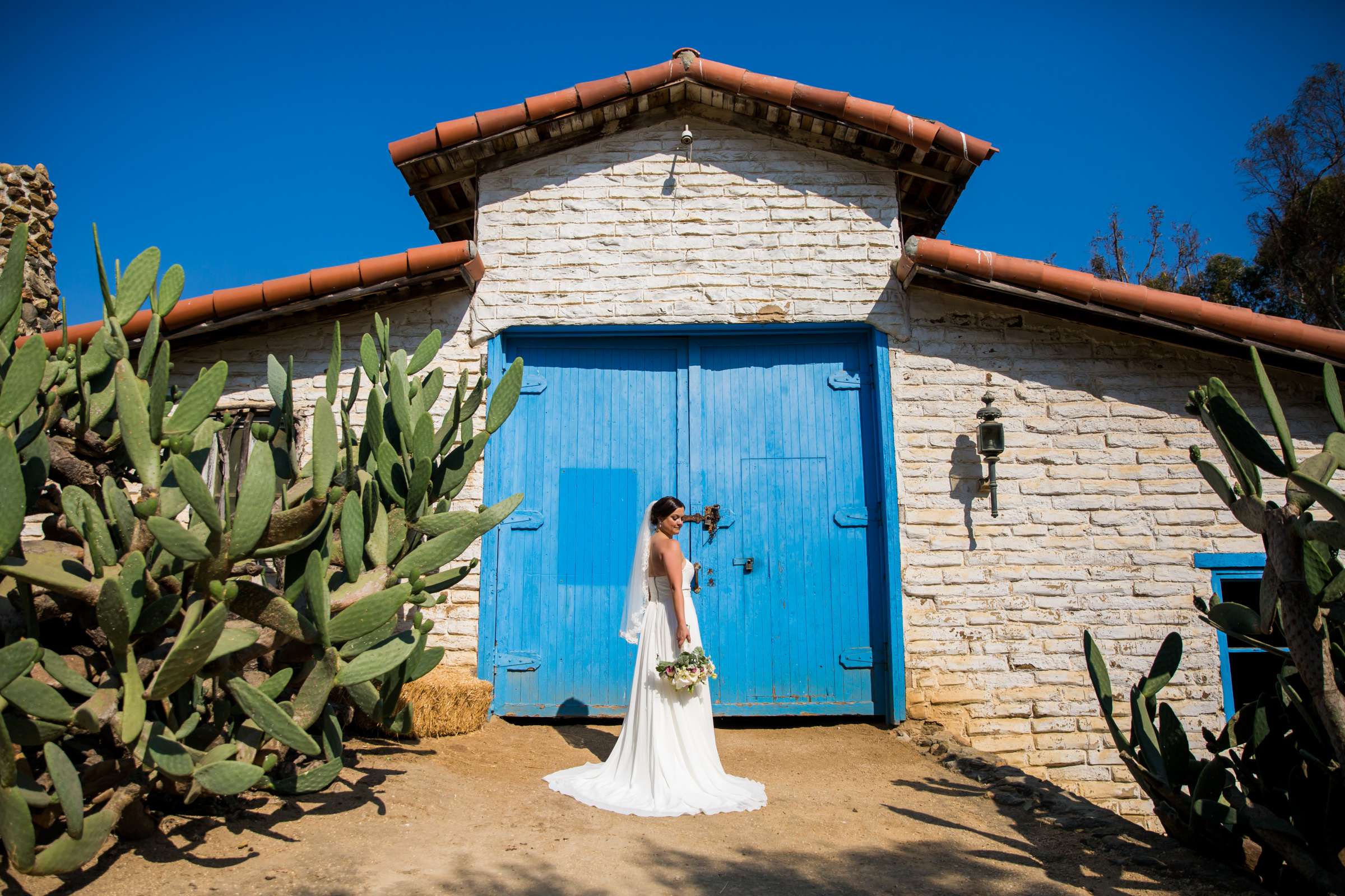 Leo Carrillo Ranch Wedding, Sarah and Federico Wedding Photo #46 by True Photography