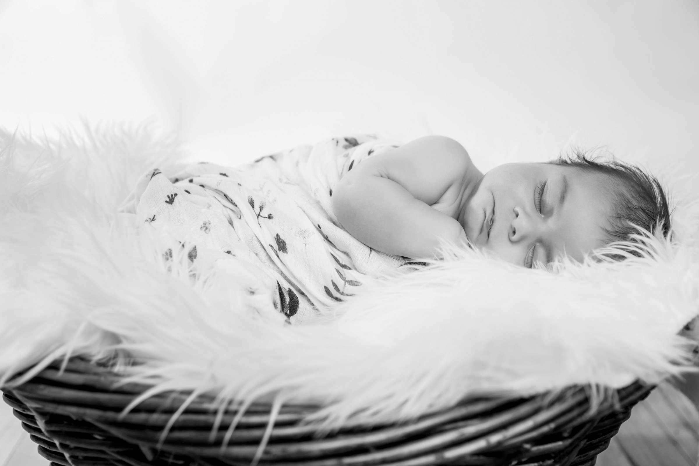 Newborn Photo Session, AnnaRose and Arturo Newborn Photo #5 by True Photography
