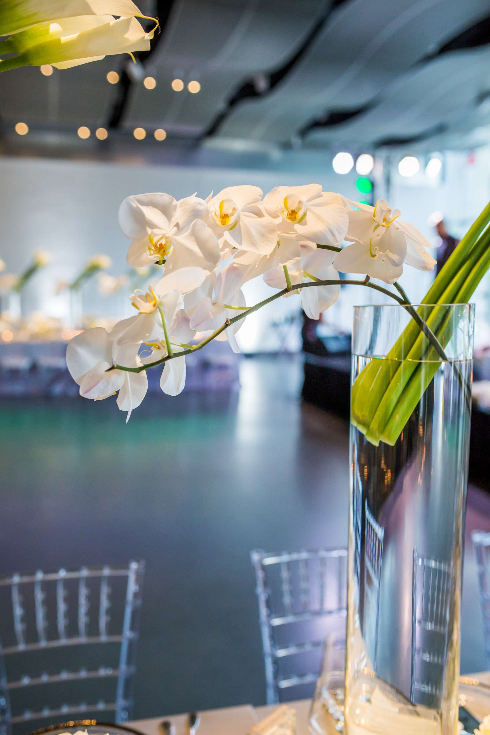 Speed Art Museum Wedding coordinated by Lauren Chitwood Events, Samantha and Jeff Wedding Photo #226 by True Photography