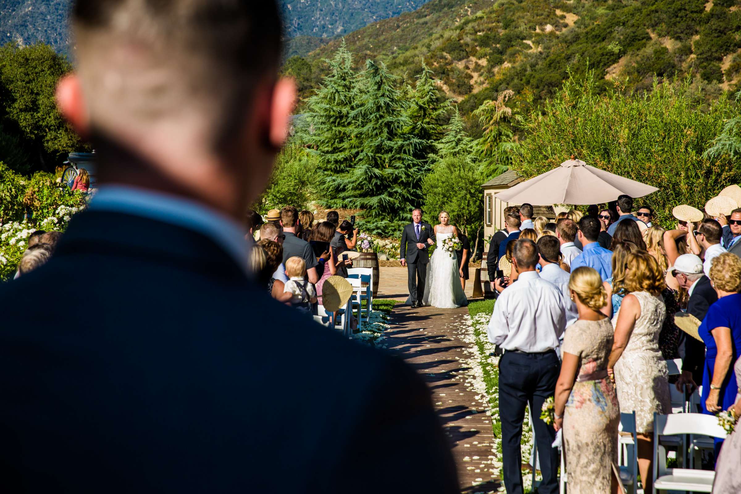 Serendipity Garden Weddings Wedding, Christy and Max Wedding Photo #401184 by True Photography