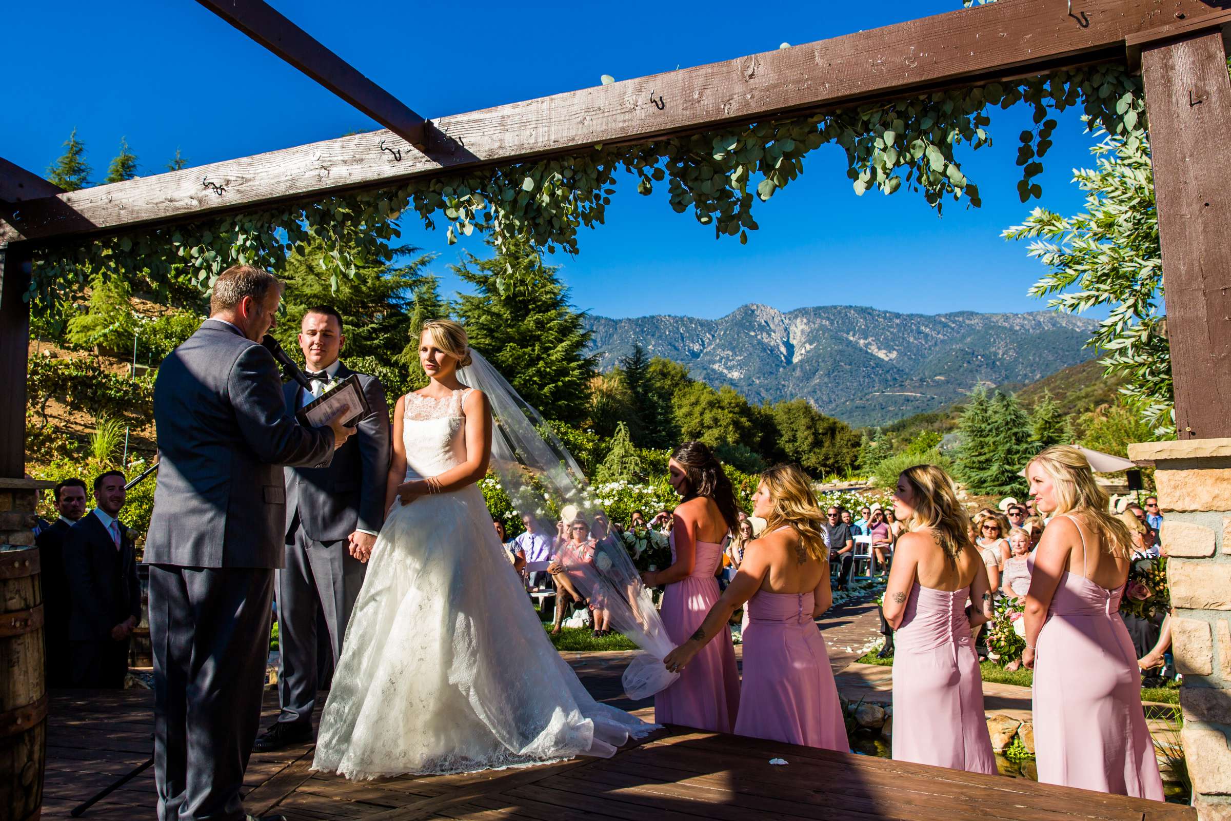 Serendipity Garden Weddings Wedding, Christy and Max Wedding Photo #401186 by True Photography