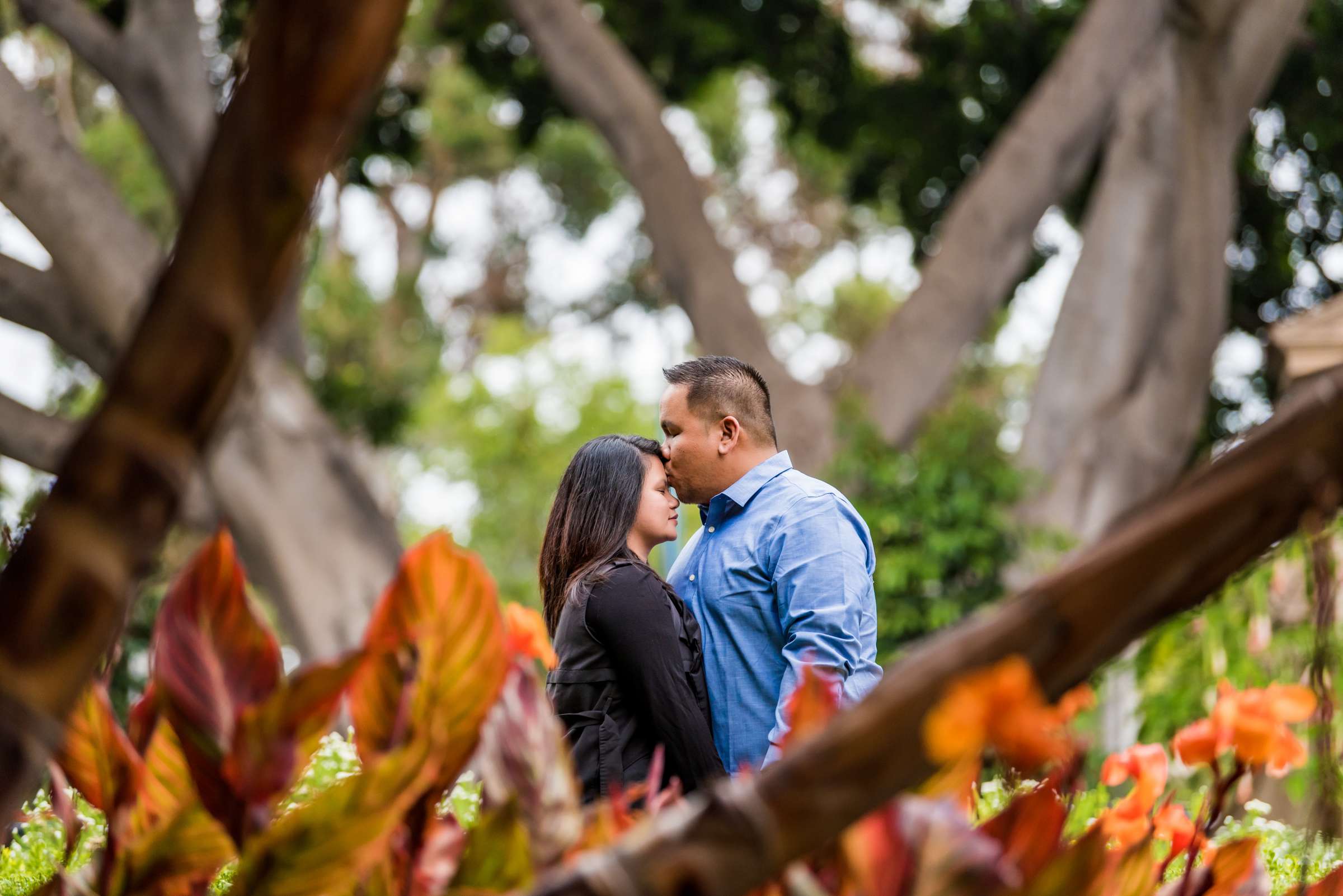 Engagement, Krystle and Denard Engagement Photo #405900 by True Photography