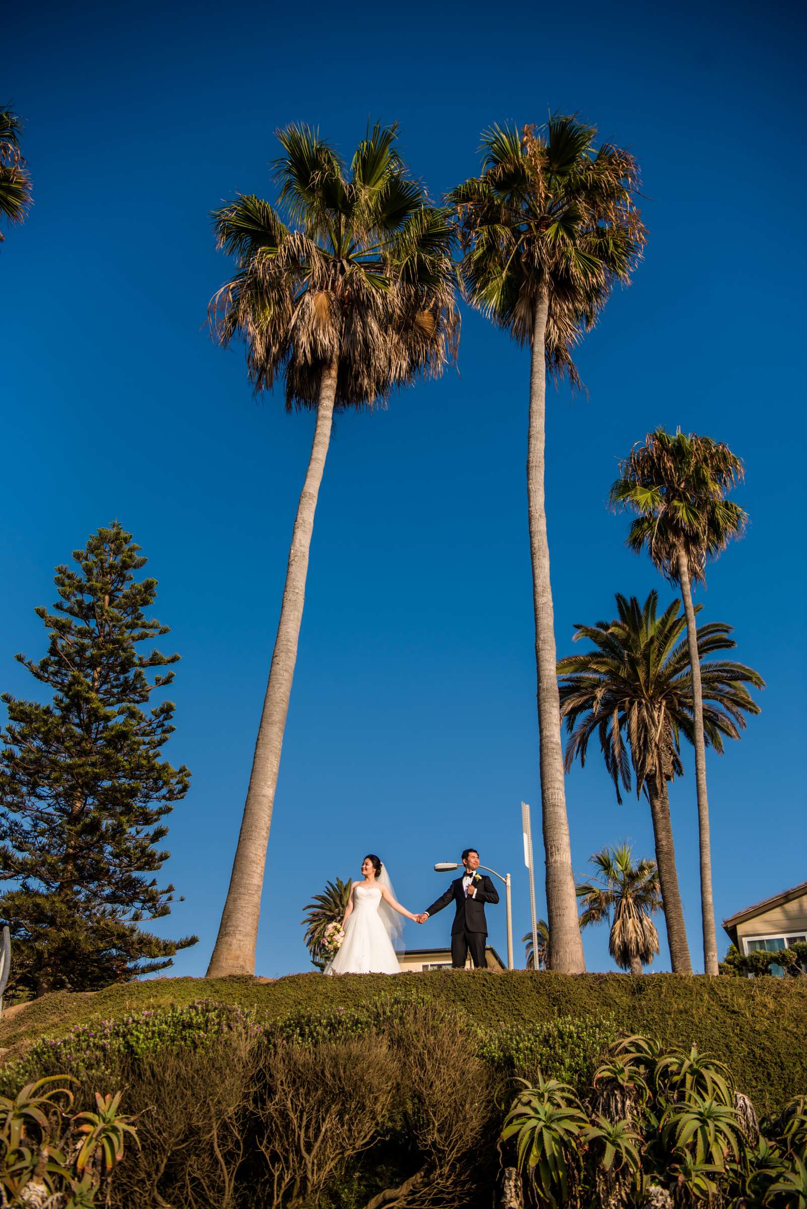 La Jolla Woman's Club Wedding coordinated by Ivory + Stone Event Co., Ella and Eric Wedding Photo #408088 by True Photography