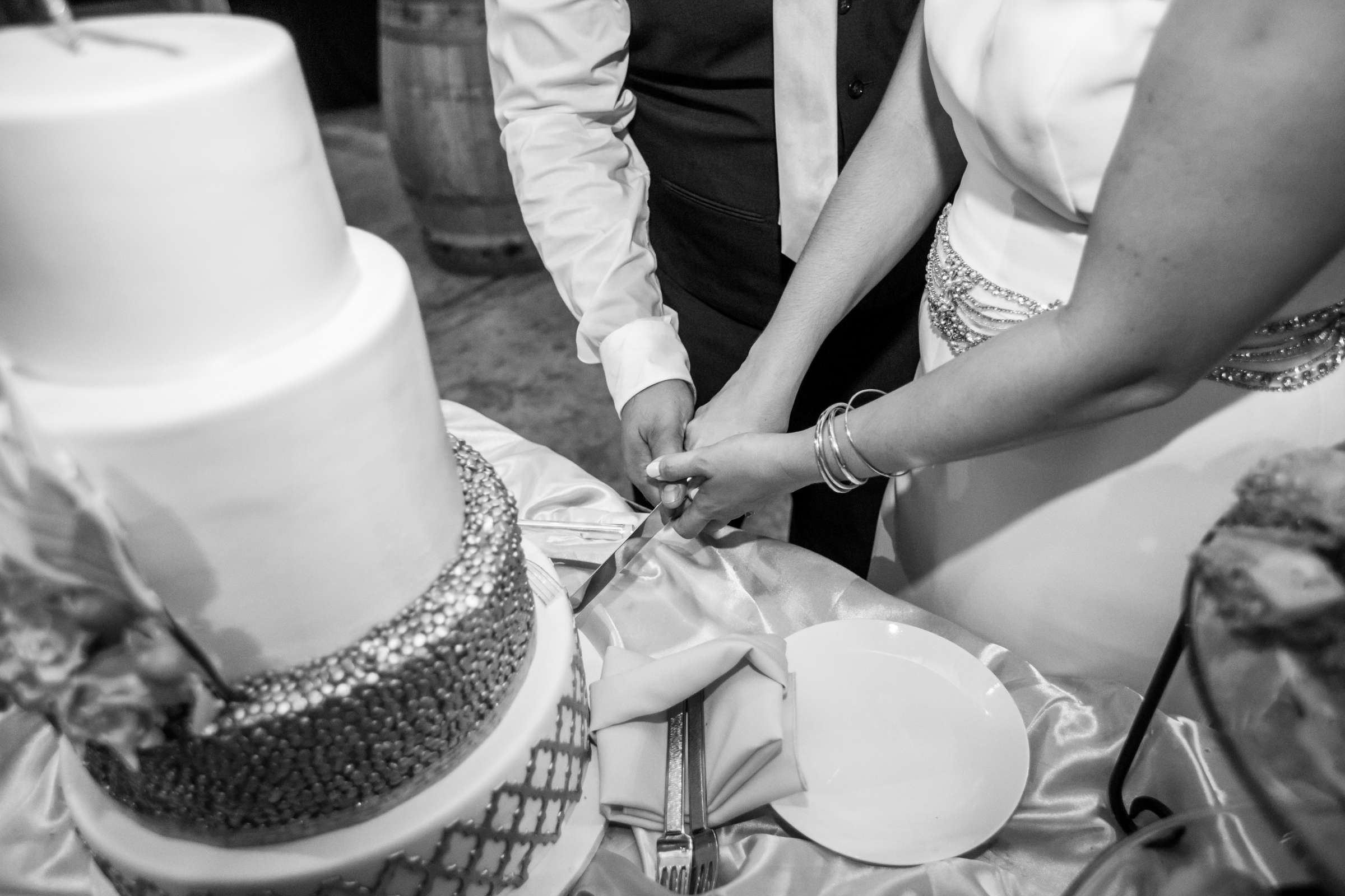 Bernardo Winery Wedding, Michelle and Ryan Wedding Photo #411086 by True Photography