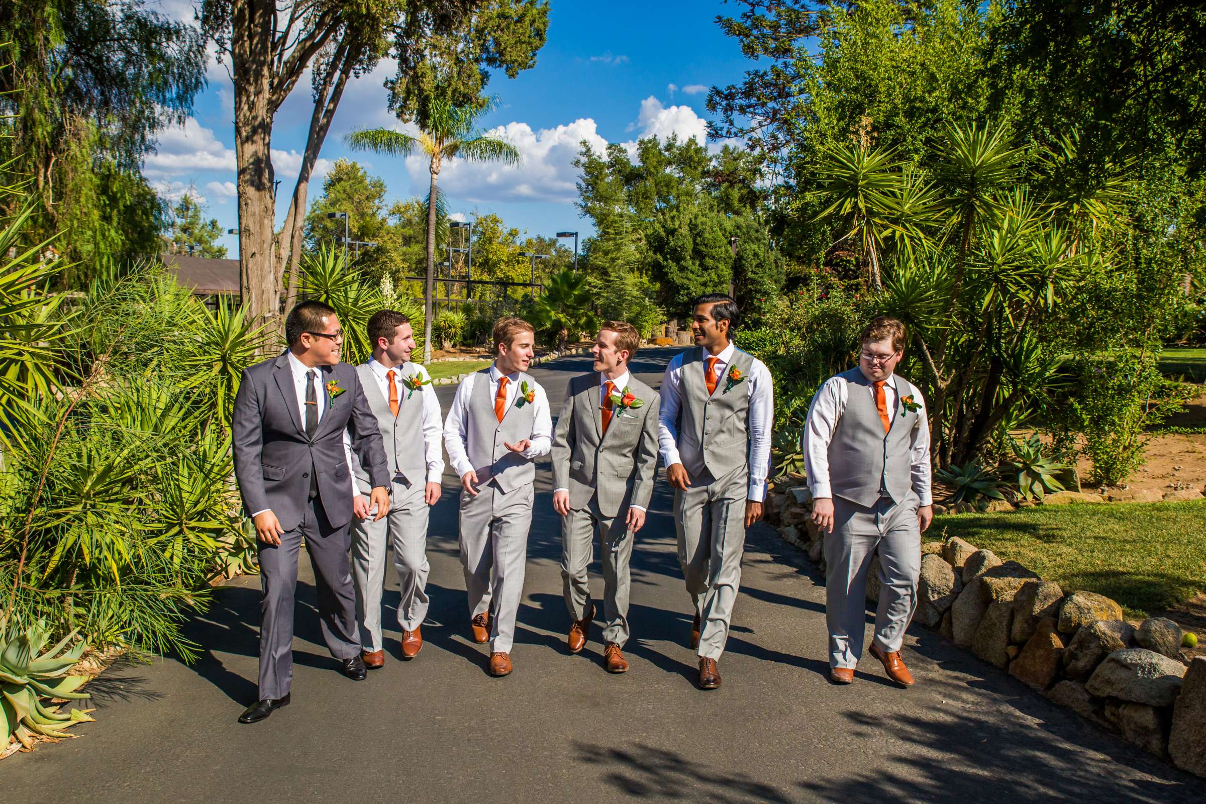 Mt Woodson Castle Wedding, Robin and Stevie Wedding Photo #412248 by True Photography