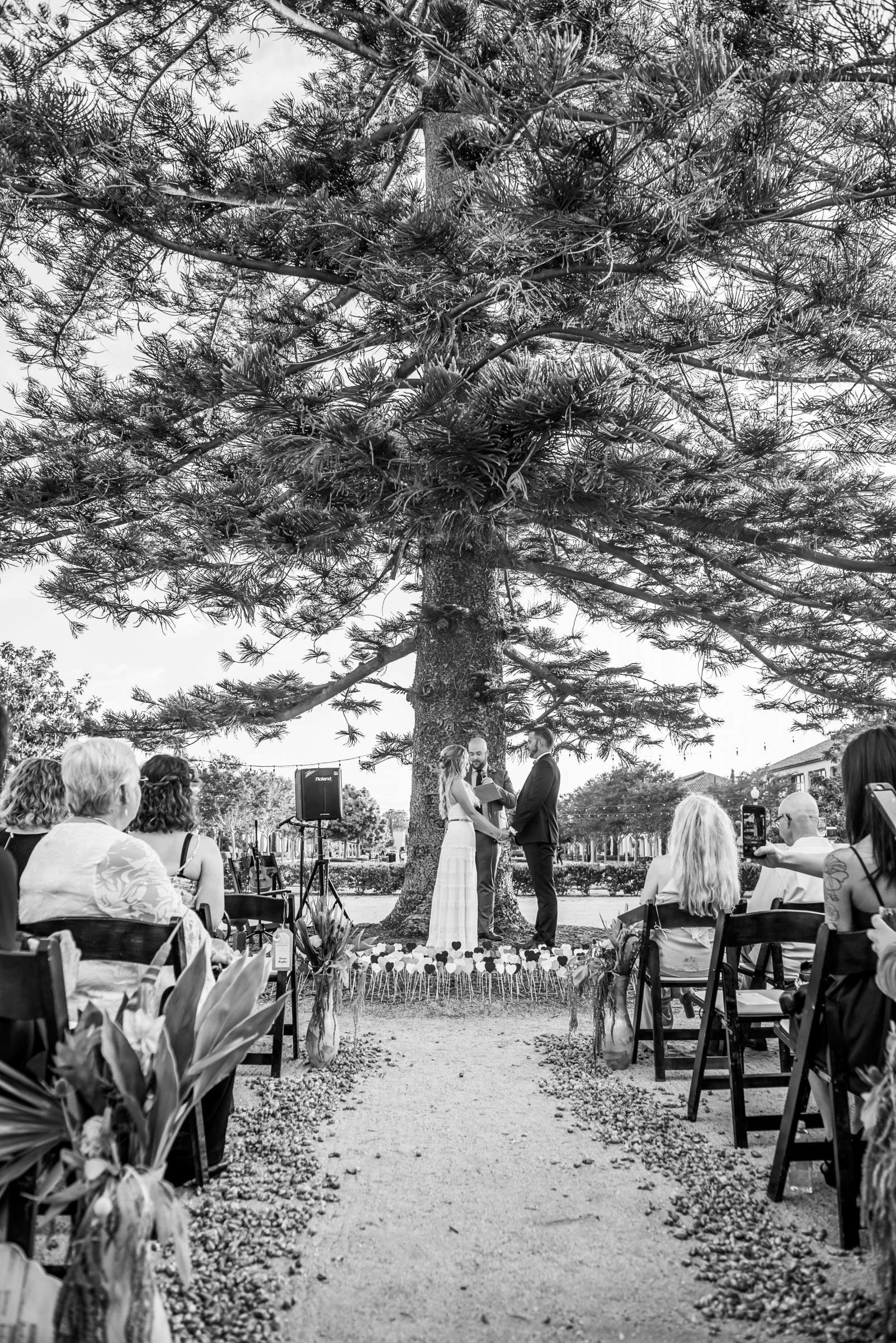 Stone Brewing Liberty Station Wedding, Kimberley and Kyle Wedding Photo #412798 by True Photography