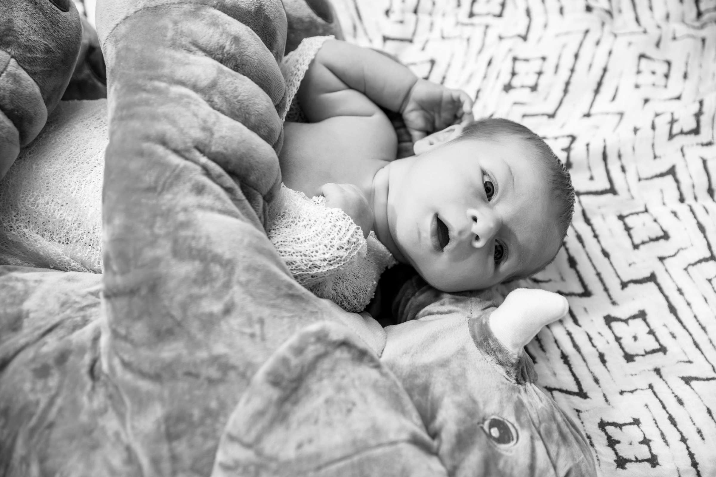 Newborn Photo Session, Dani_Blair Newborn Photo #418603 by True Photography
