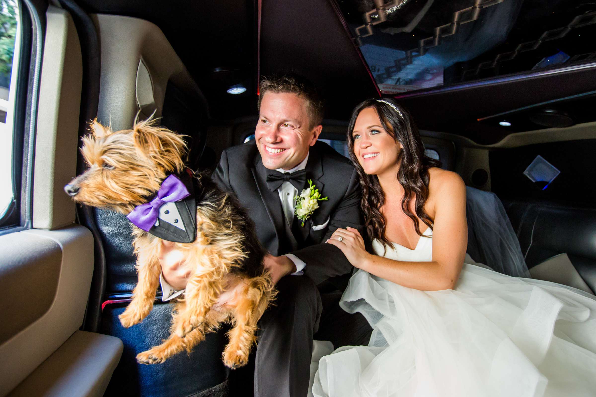 The Ultimate Skybox Wedding, Shari and Ryan Wedding Photo #419153 by True Photography