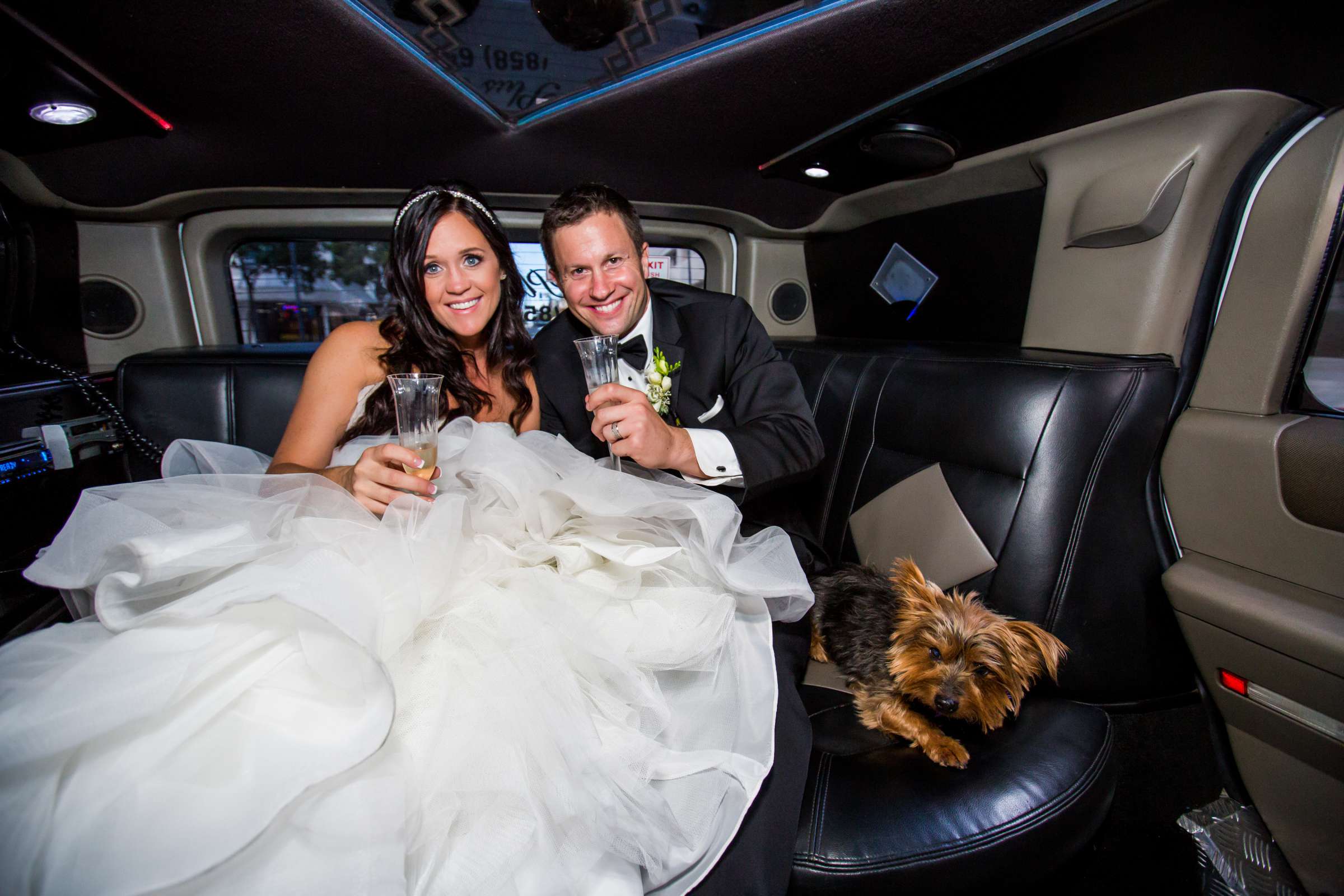 The Ultimate Skybox Wedding, Shari and Ryan Wedding Photo #419222 by True Photography